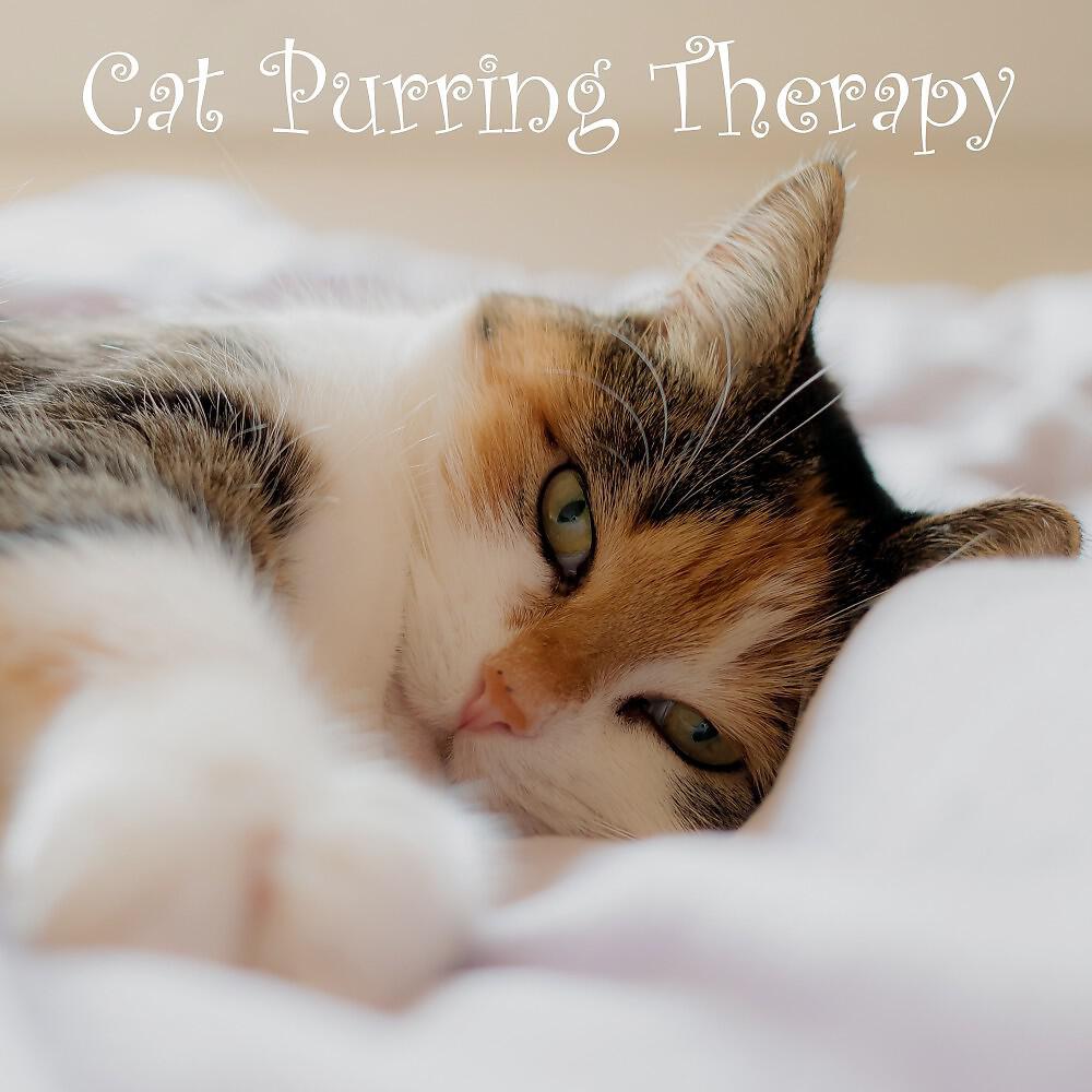 Calming Sounds from TraxLab - Cat Purring, Pt. 04