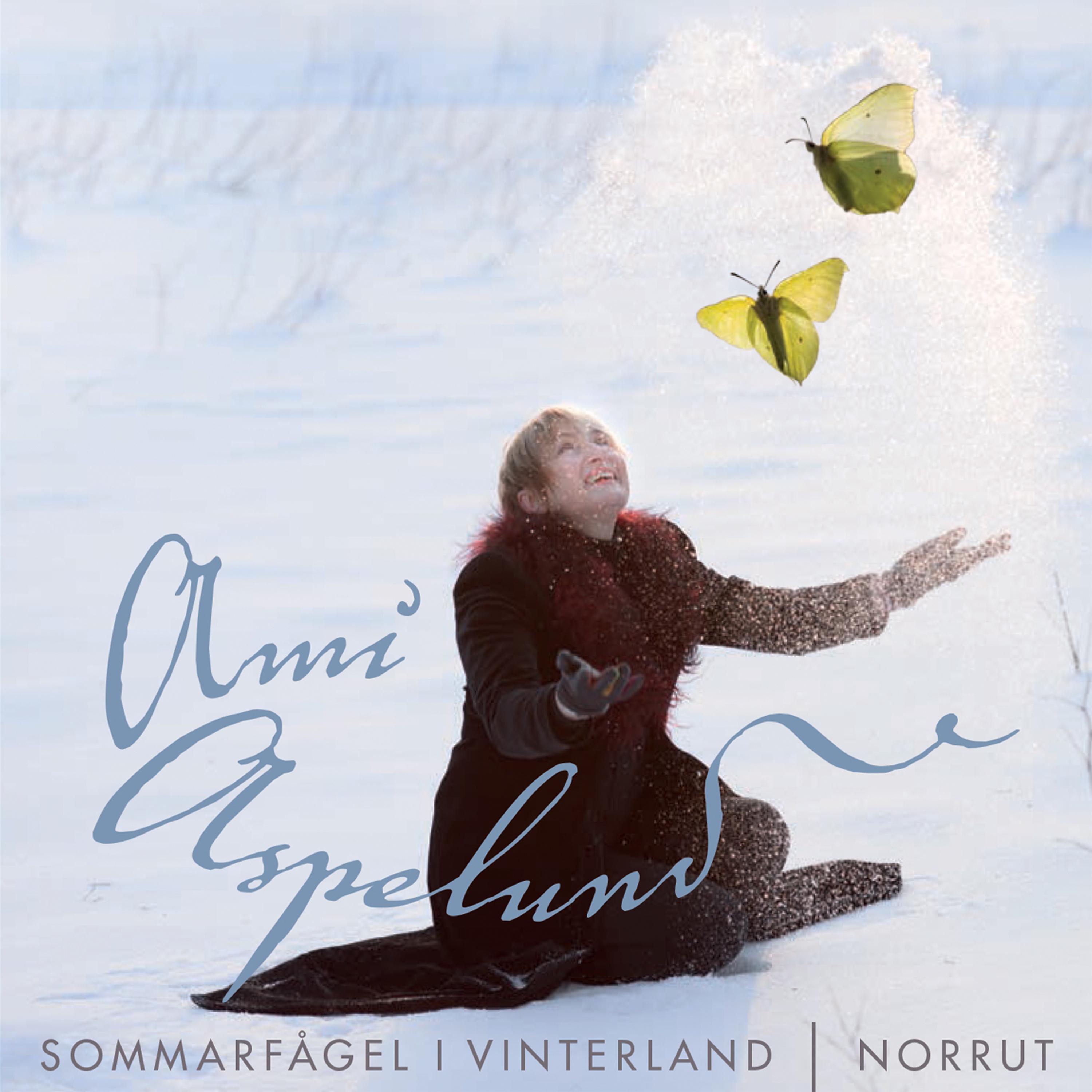 Постер альбома Sommarfågel i vinterland / Norrut