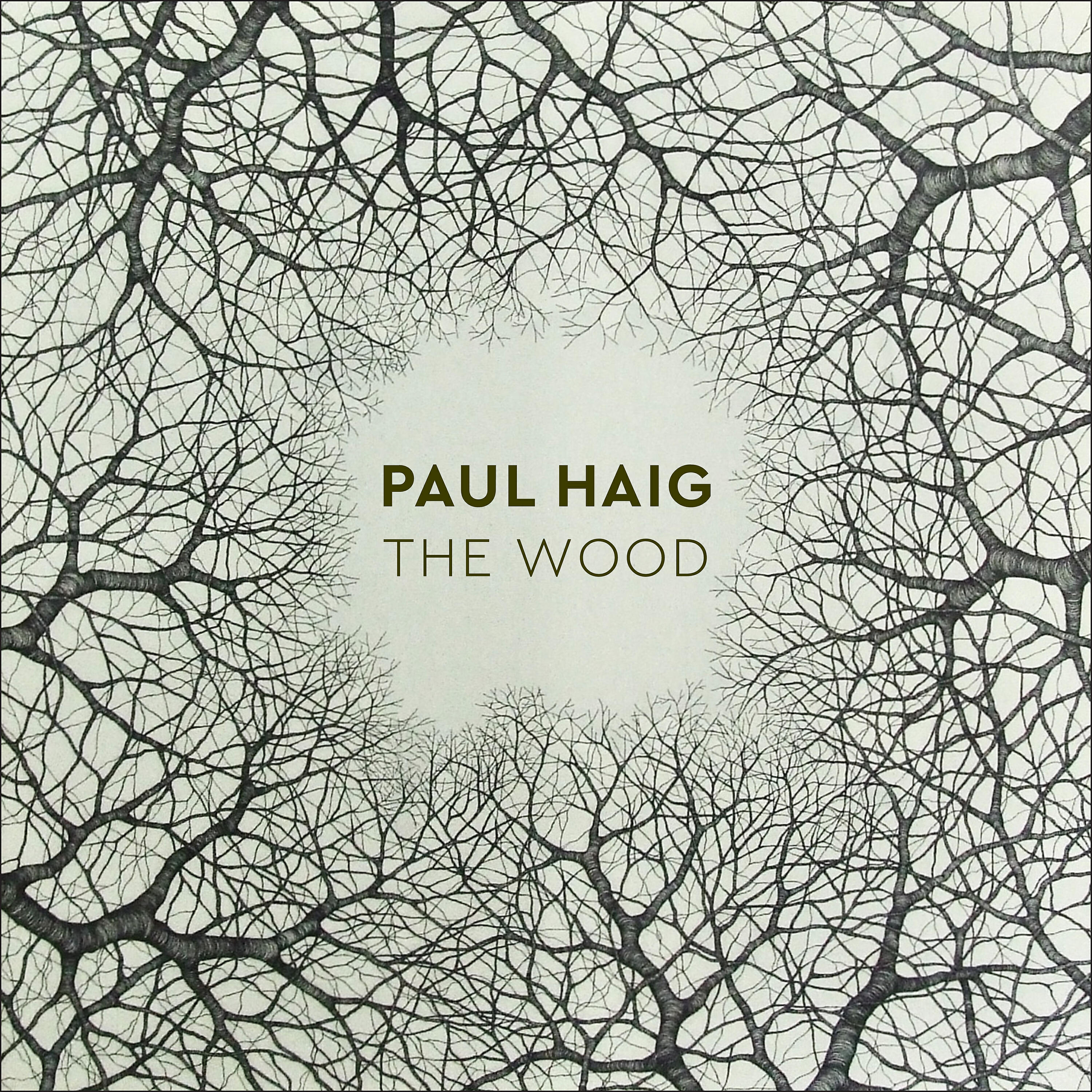 Paul Haig - Acoustic Mangles