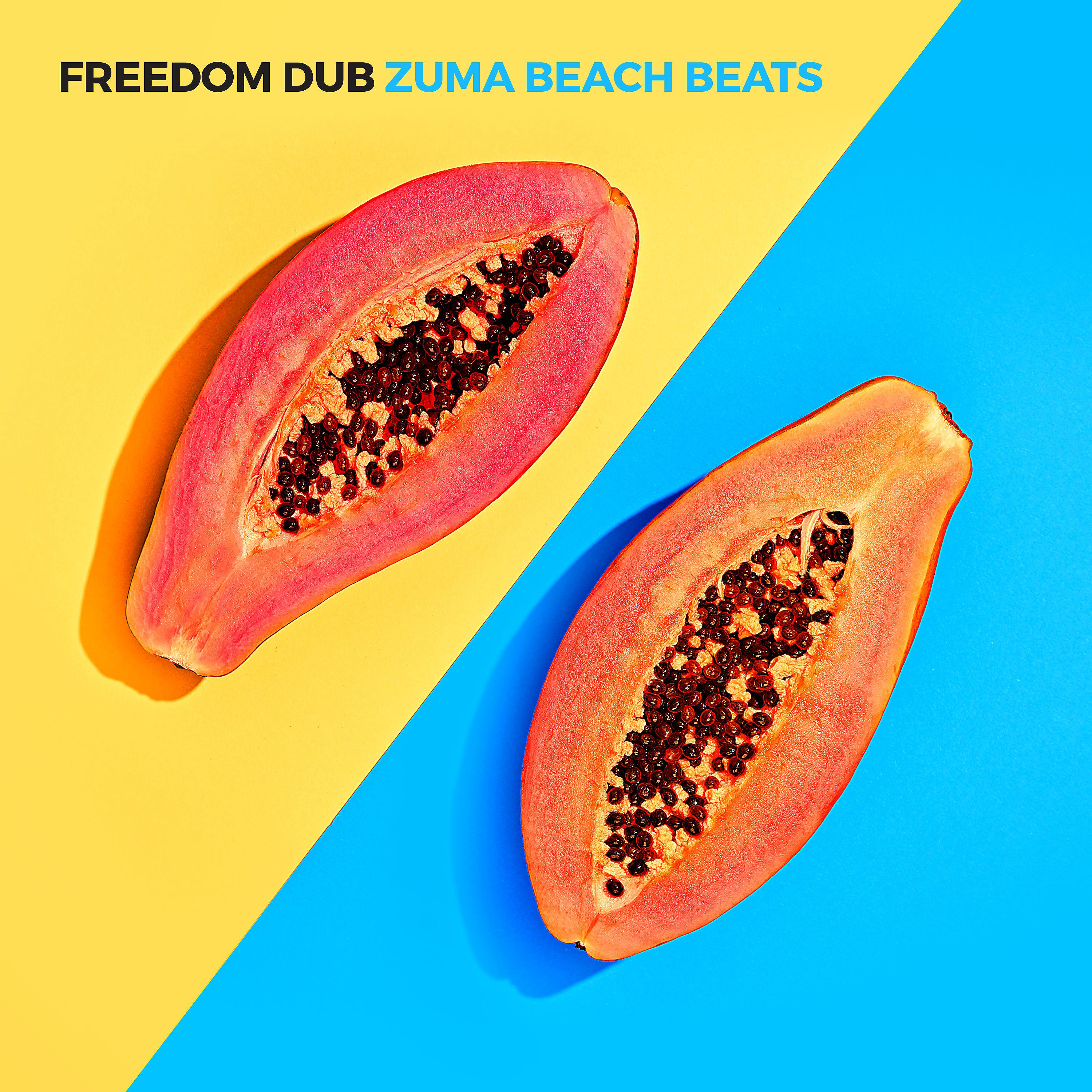 Постер альбома Zuma Beach Beats
