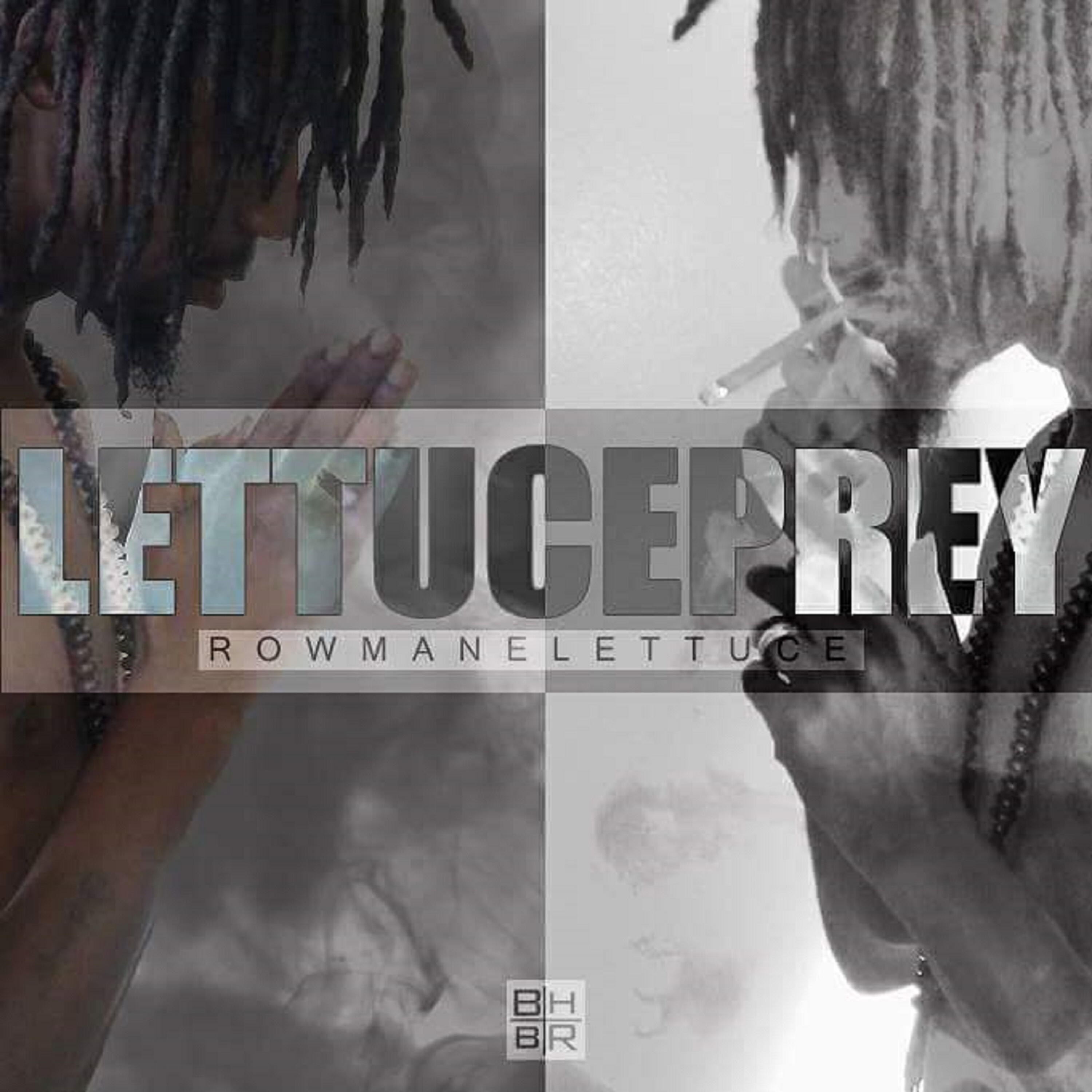Row Maine Lettuce - Da Summa