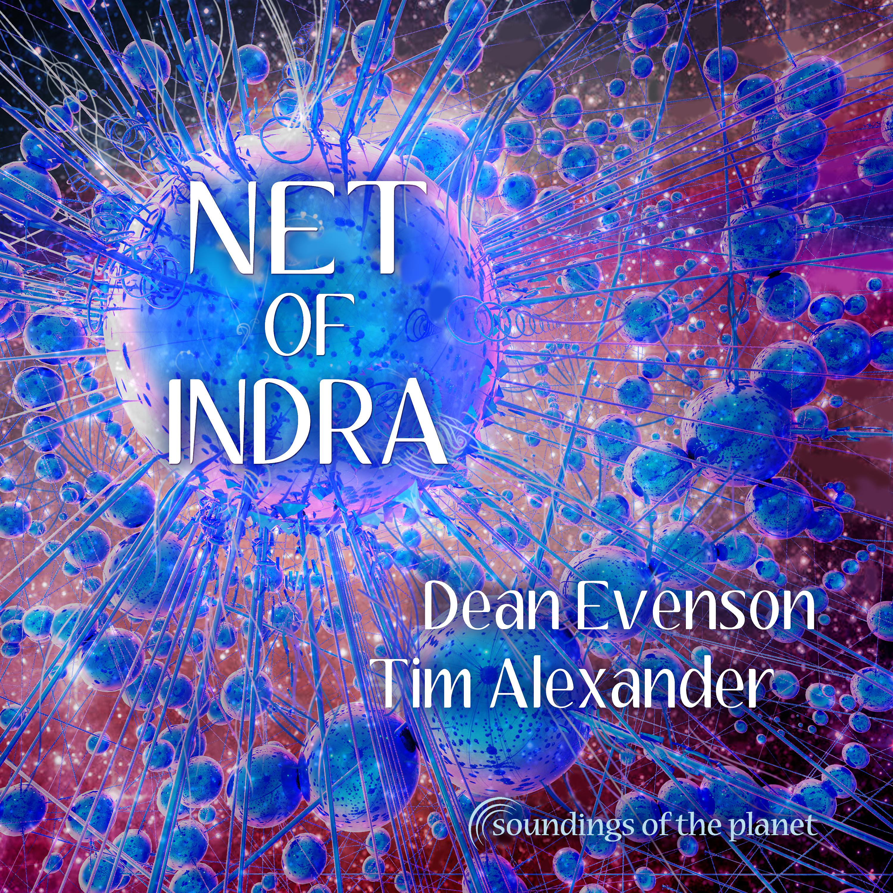Постер альбома Net of Indra
