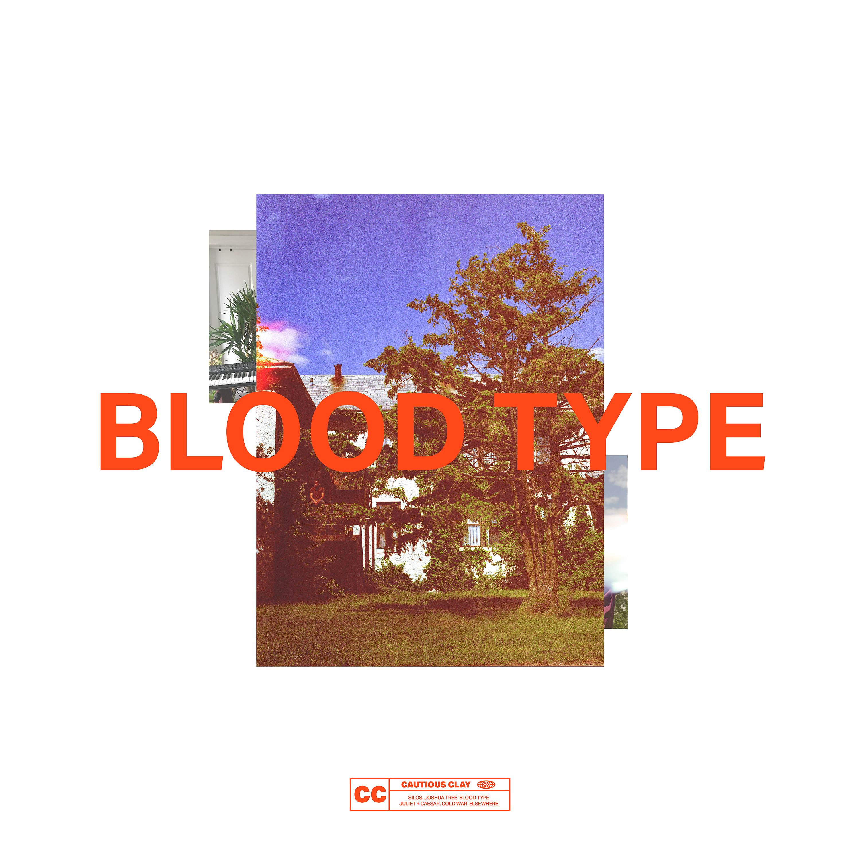 Постер альбома Blood Type