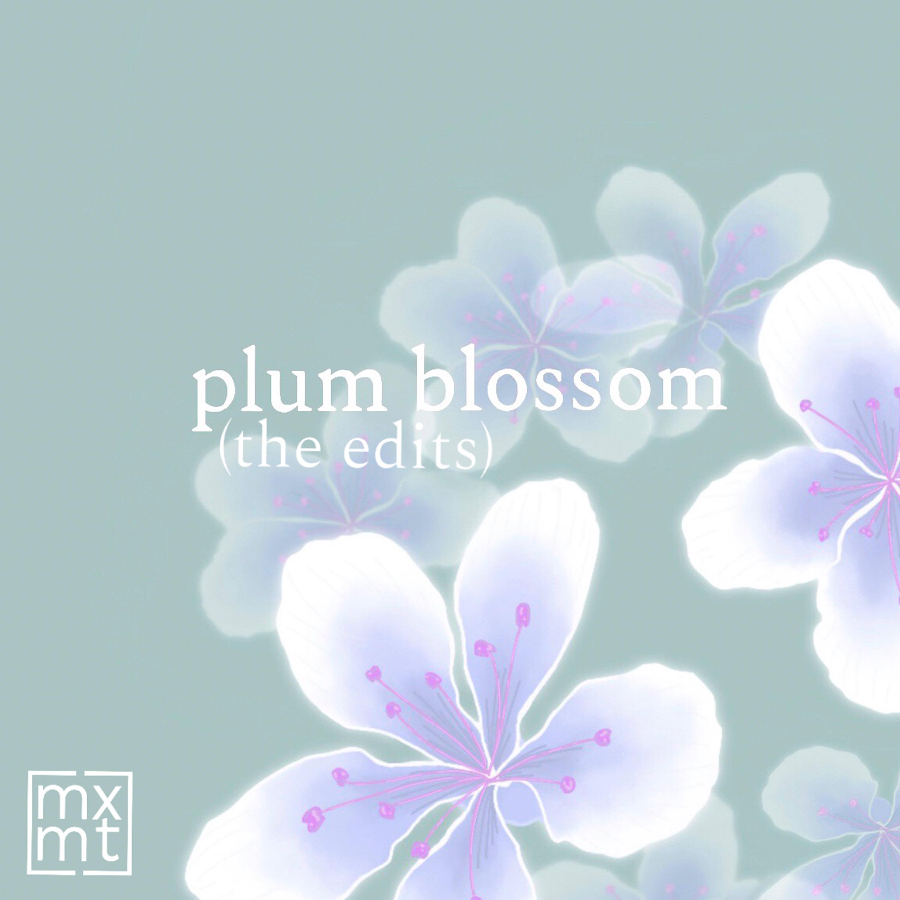 Постер альбома plum blossom (the edits)