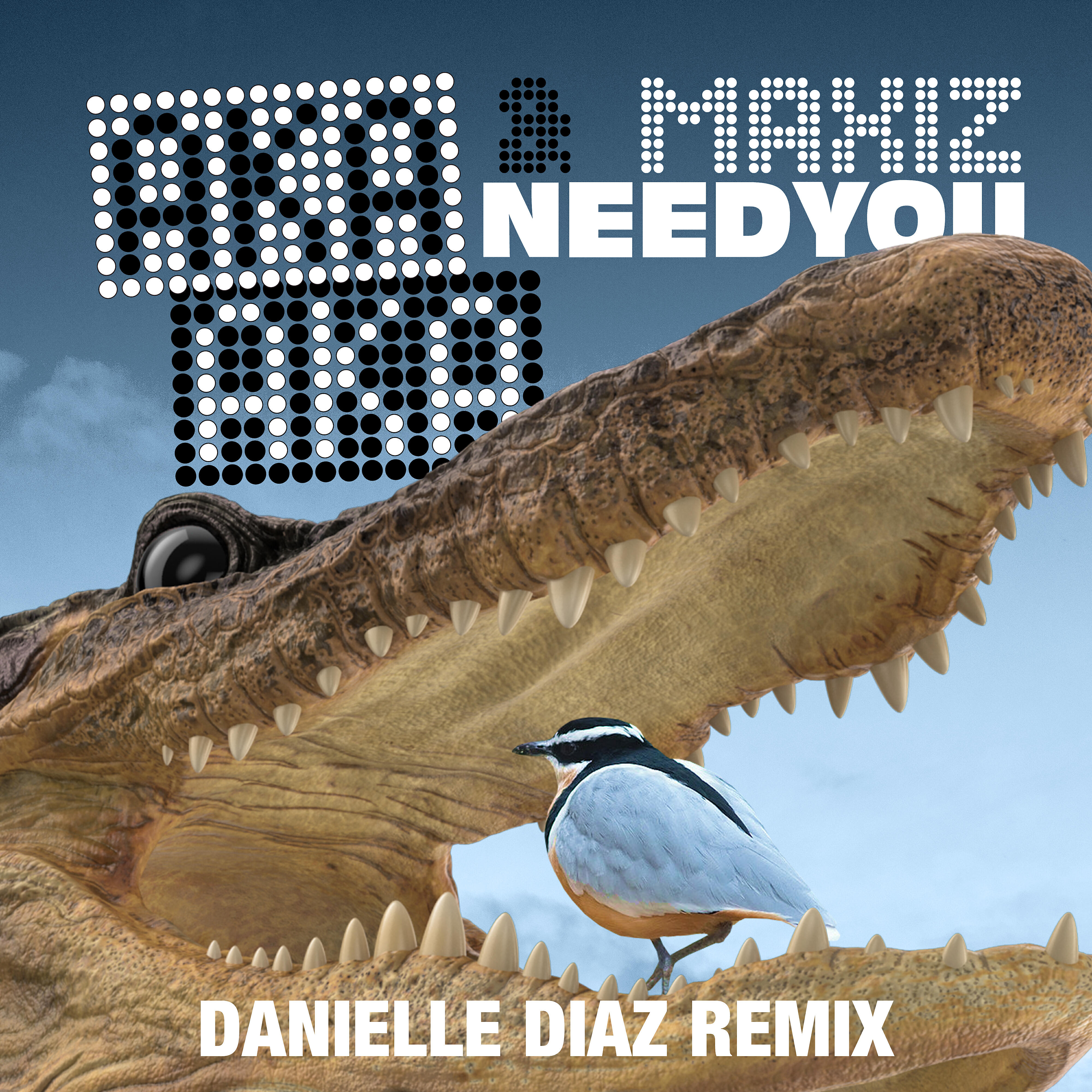 AKA AKA - Need You (Danielle Diaz Remix)