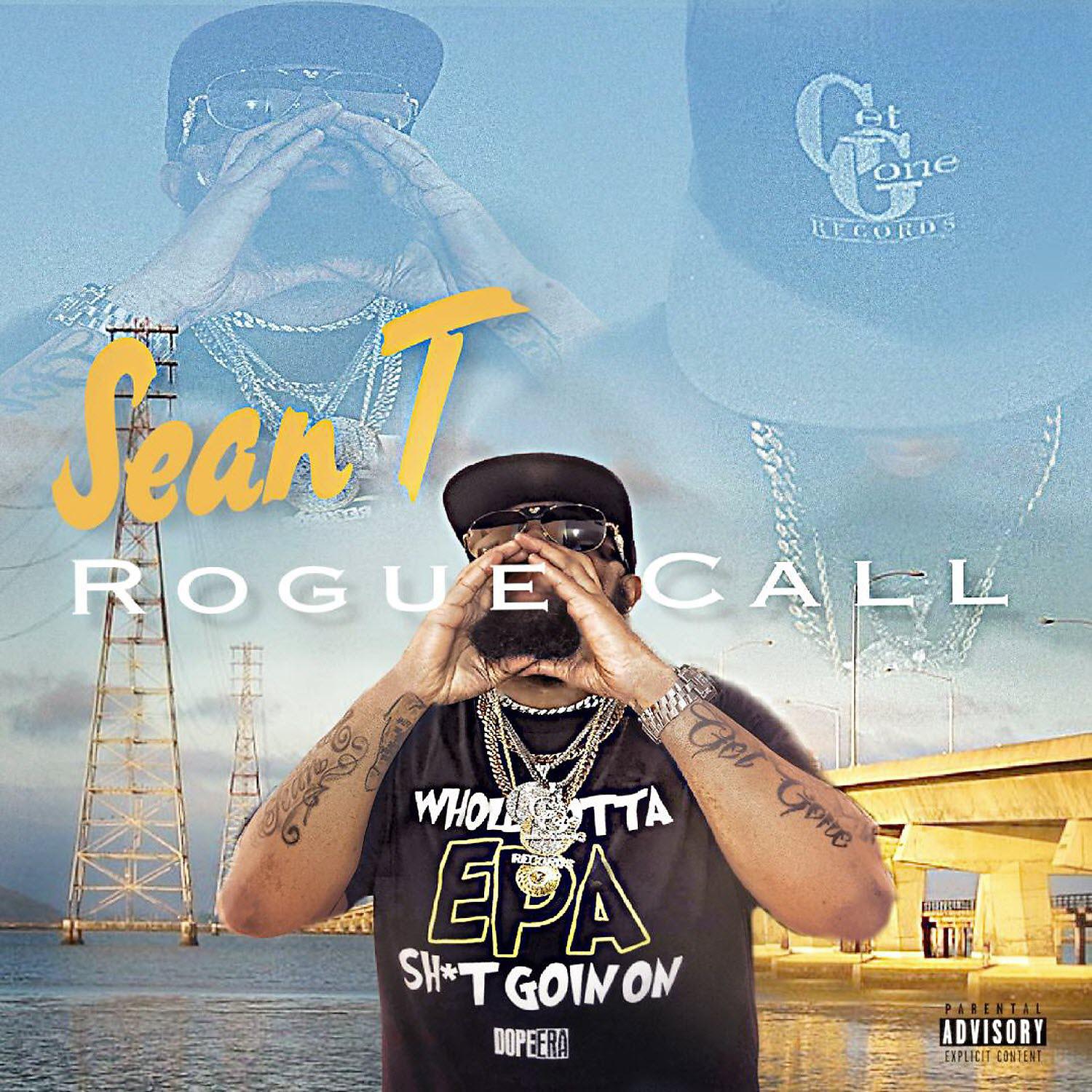 Постер альбома Rogue Call