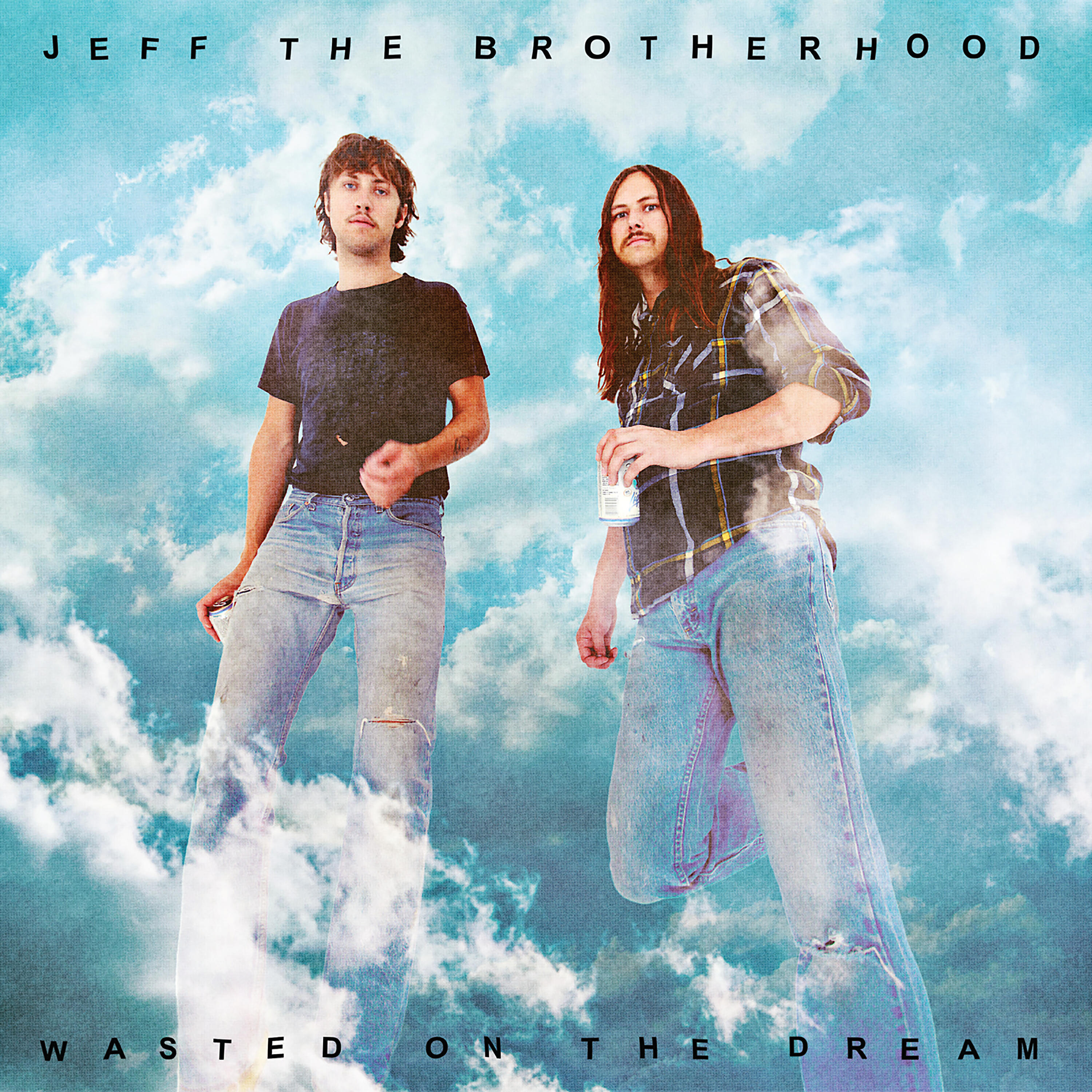 JEFF The Brotherhood - Mystified Minds