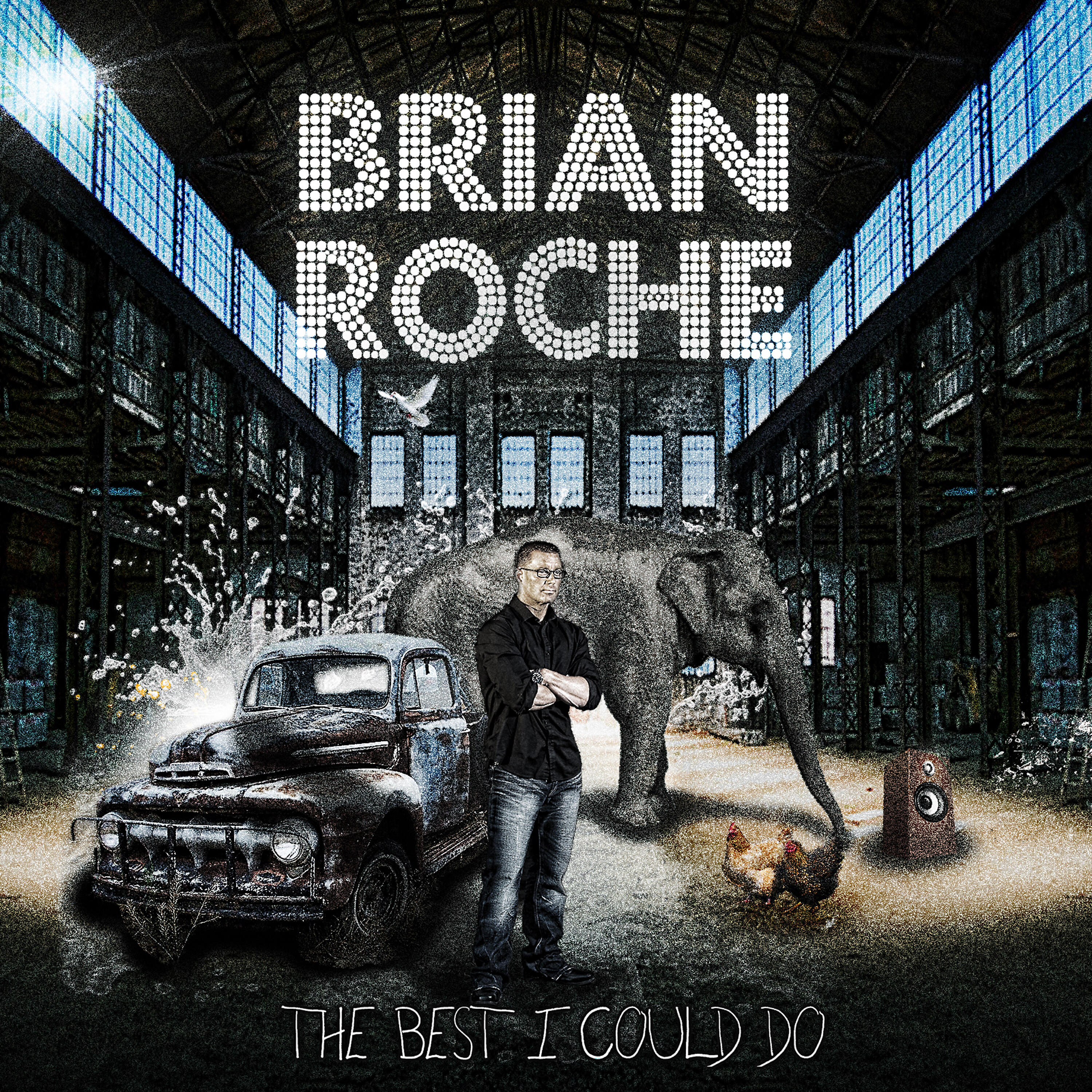 Brian Roche - On Solid Ground