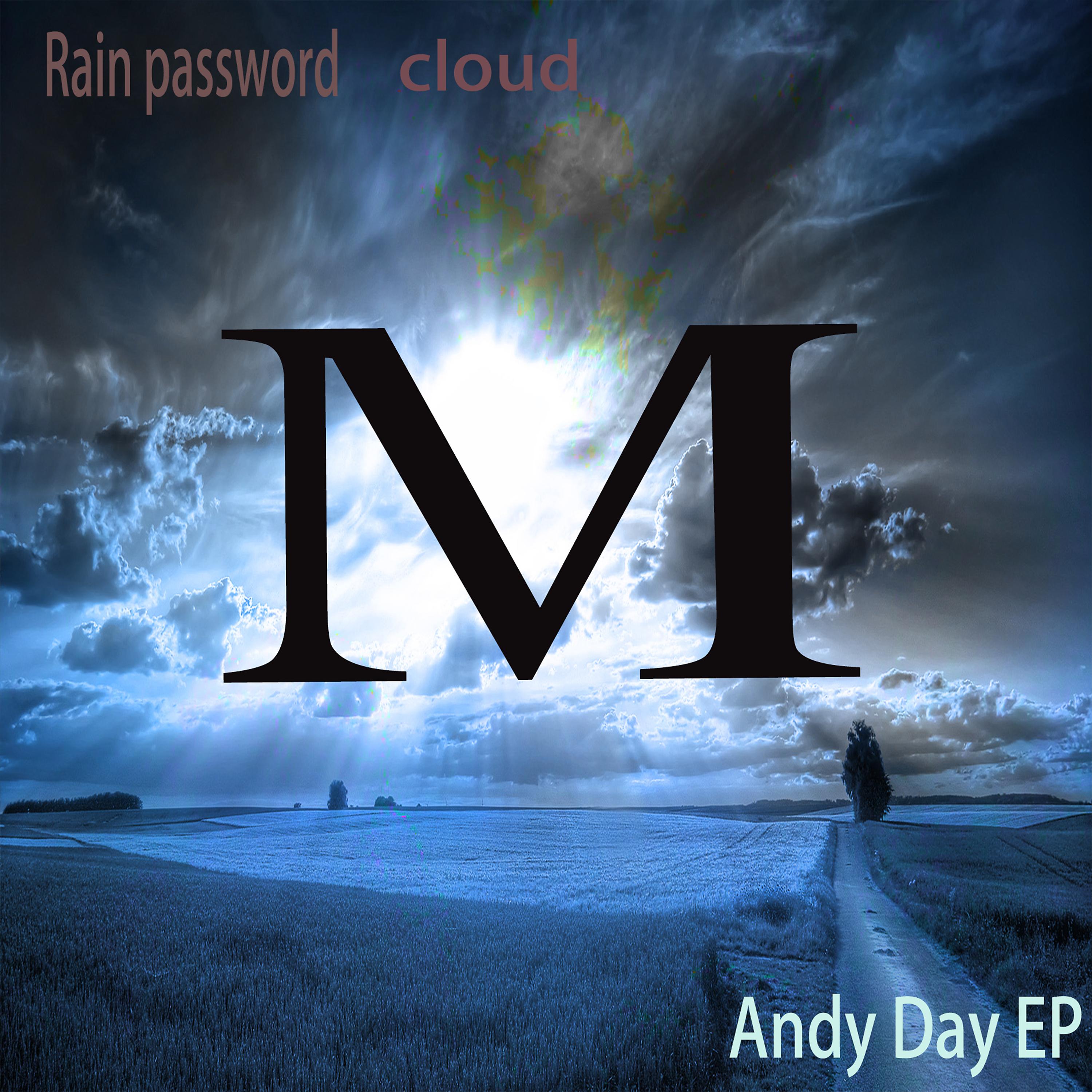Постер альбома Rain Password
