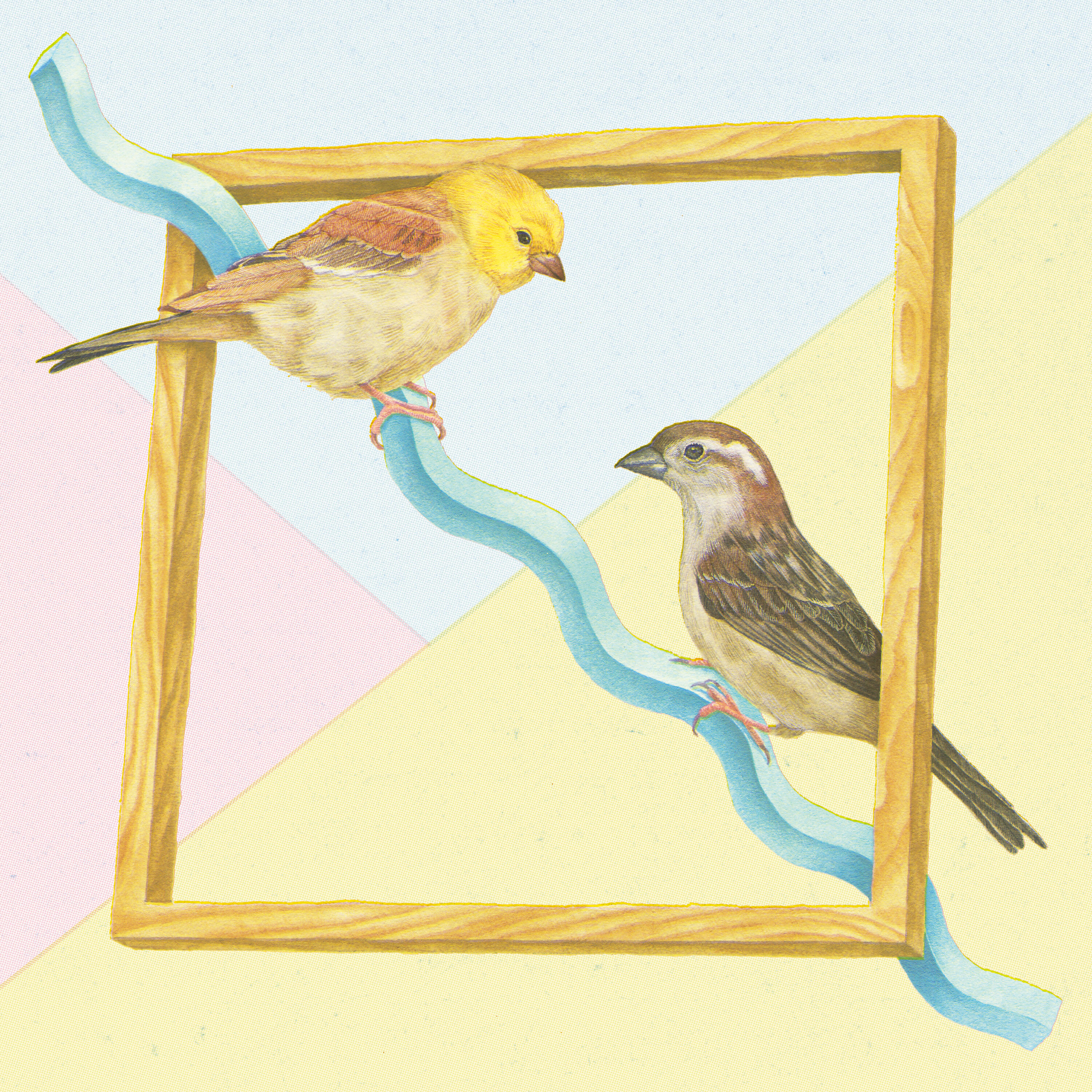 Sparrows - Weather Report