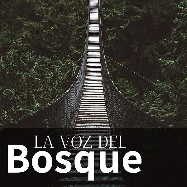 Постер альбома La Voz del Bosque - Música de Ambiente New Age con Sonidos de la Naturaleza