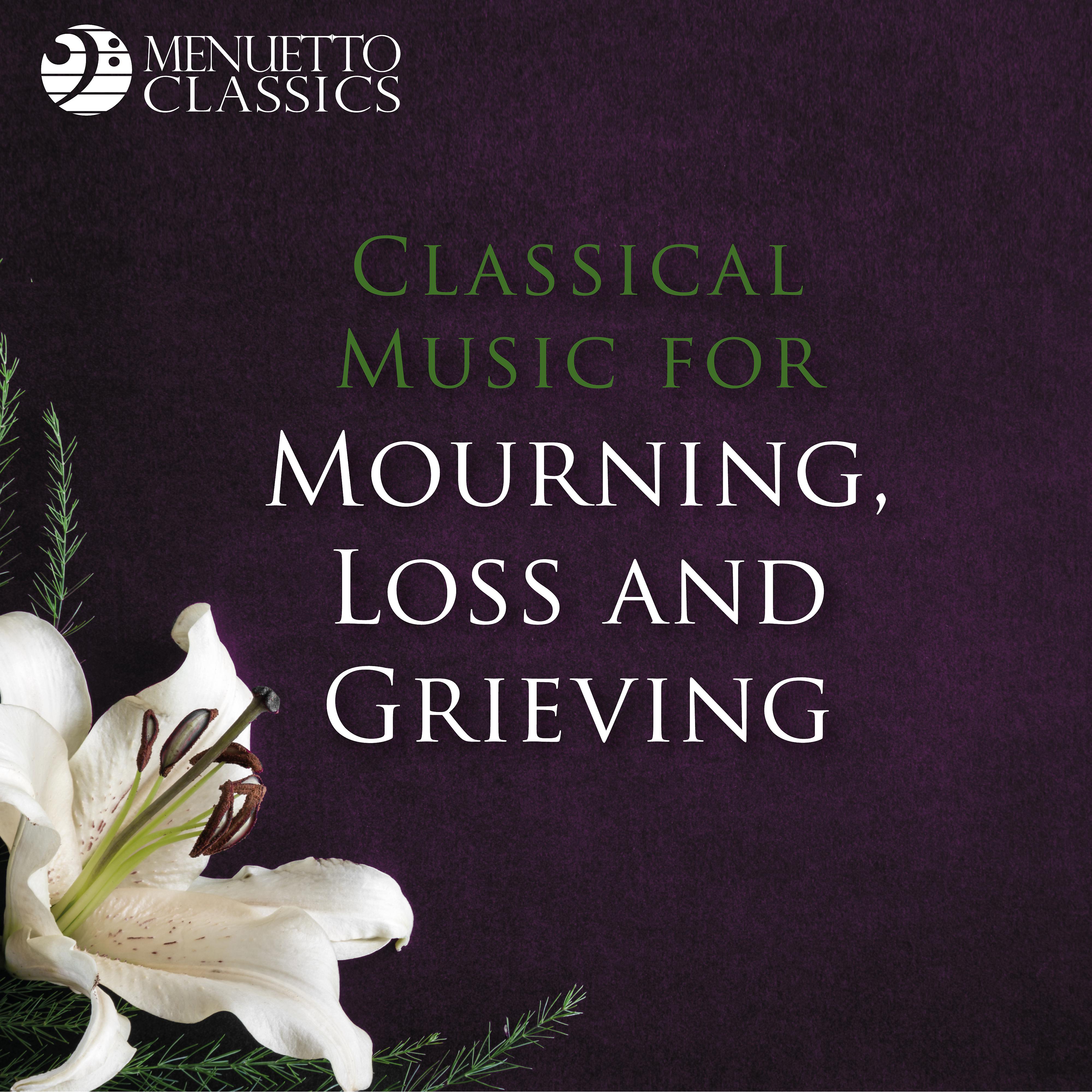Постер альбома Classical Music for Mourning, Loss and Grieving