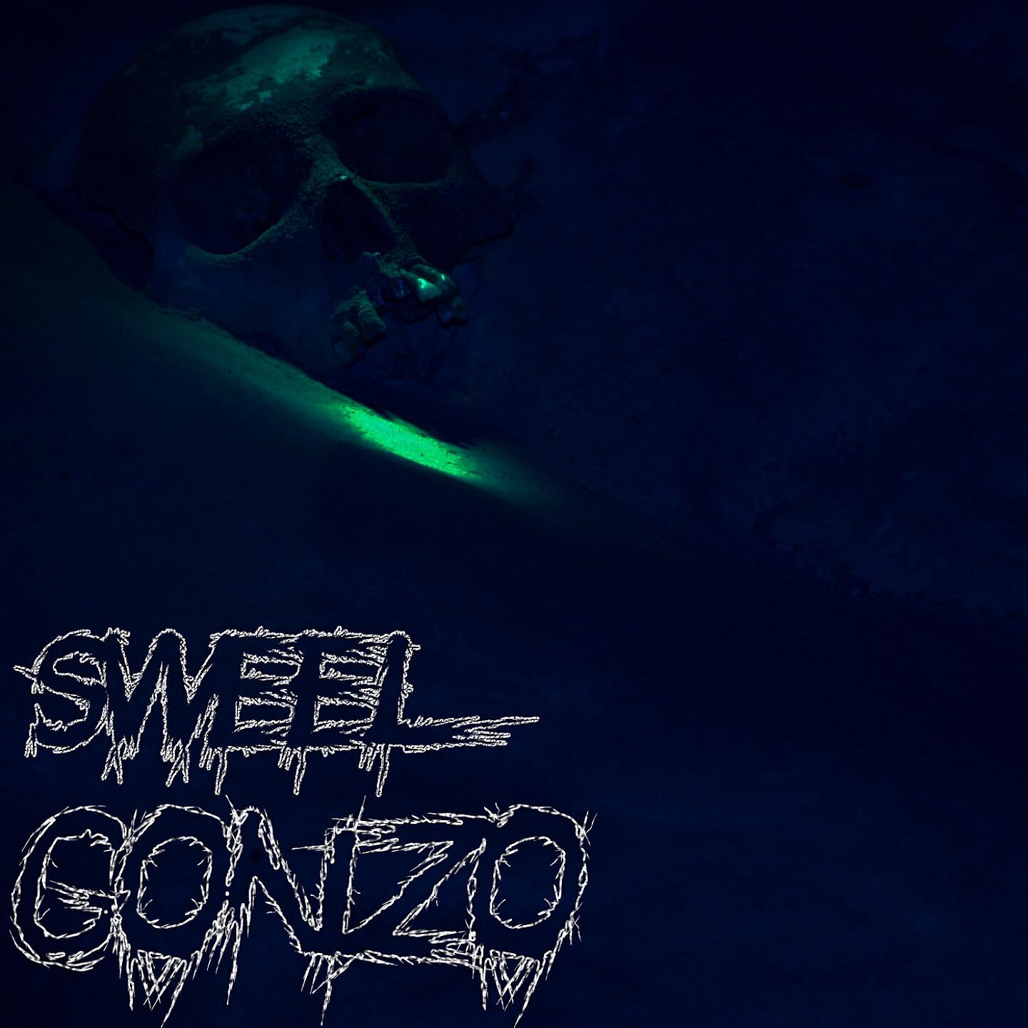 sweel - gonzo