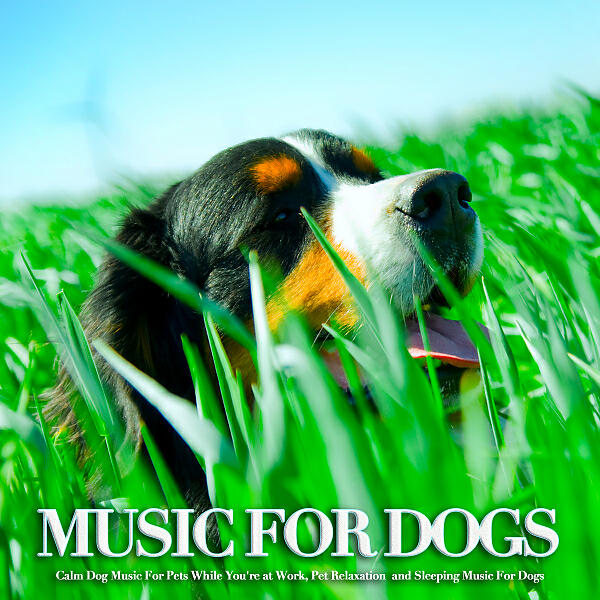 Dog Music - Relaxing Puppy Music