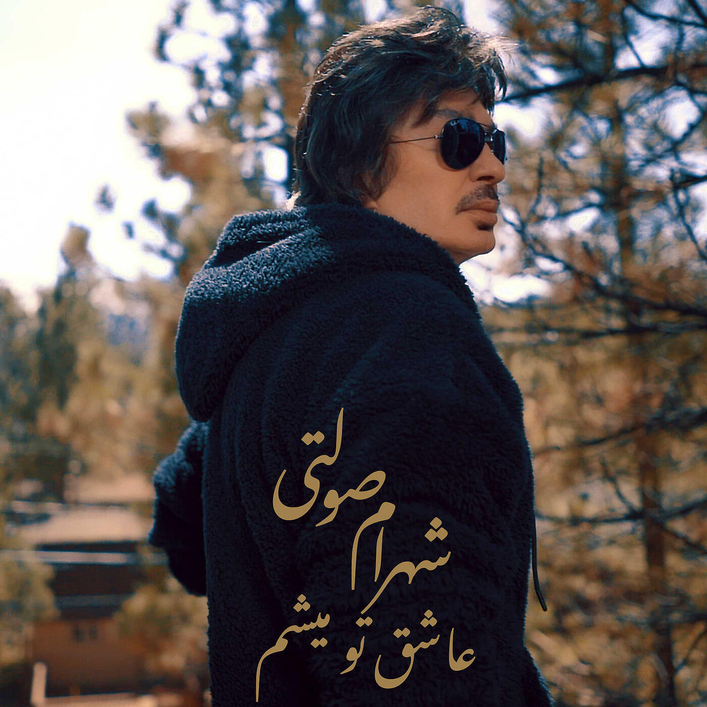 Shahram Solati - عاشق تو میشم