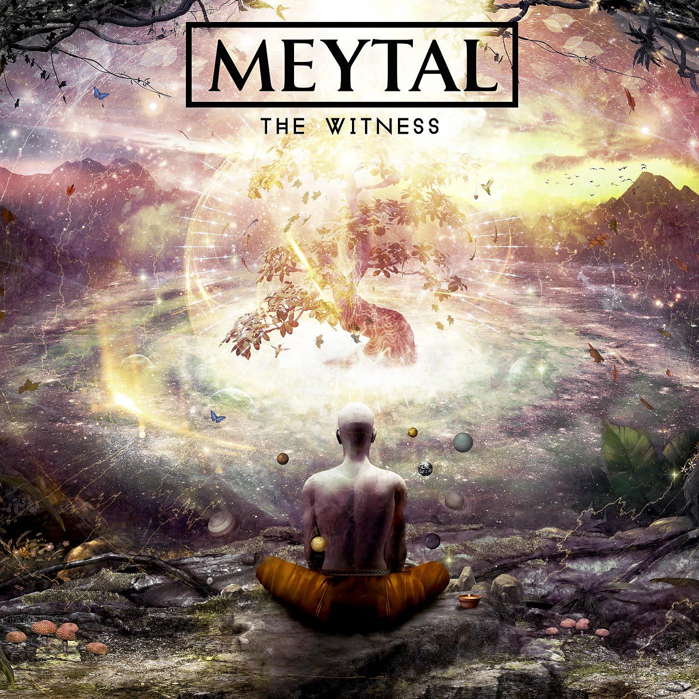 Постер альбома The Witness