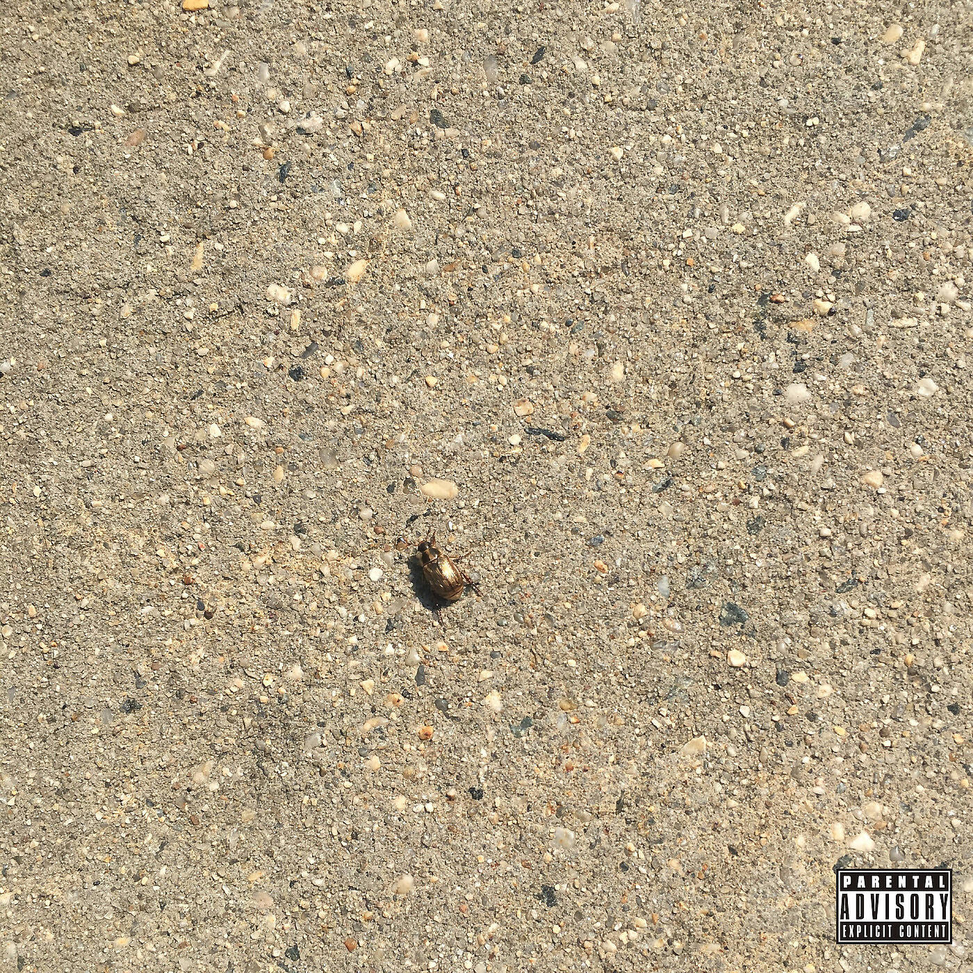 Caleb - Lost