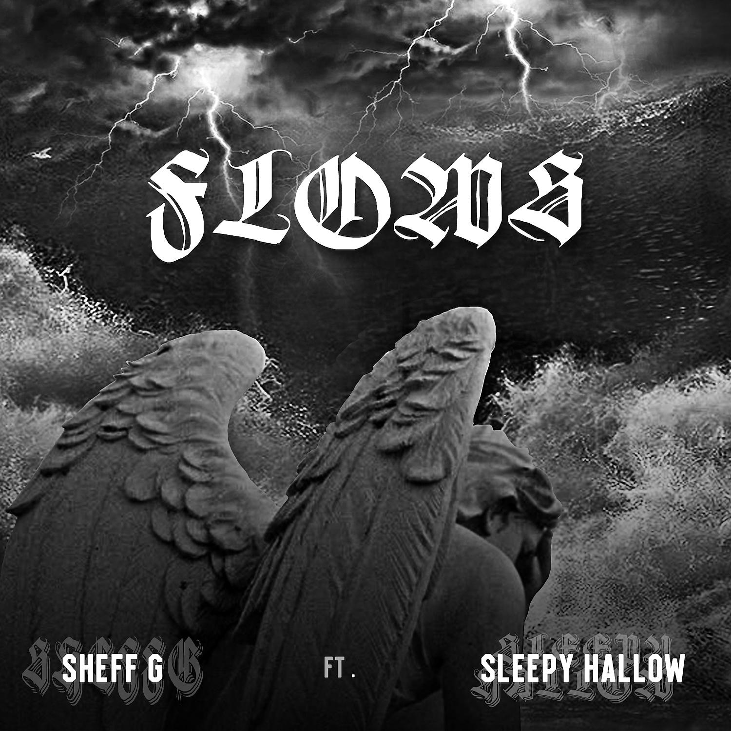 Постер альбома Flows (feat. Sleepy Hallow)