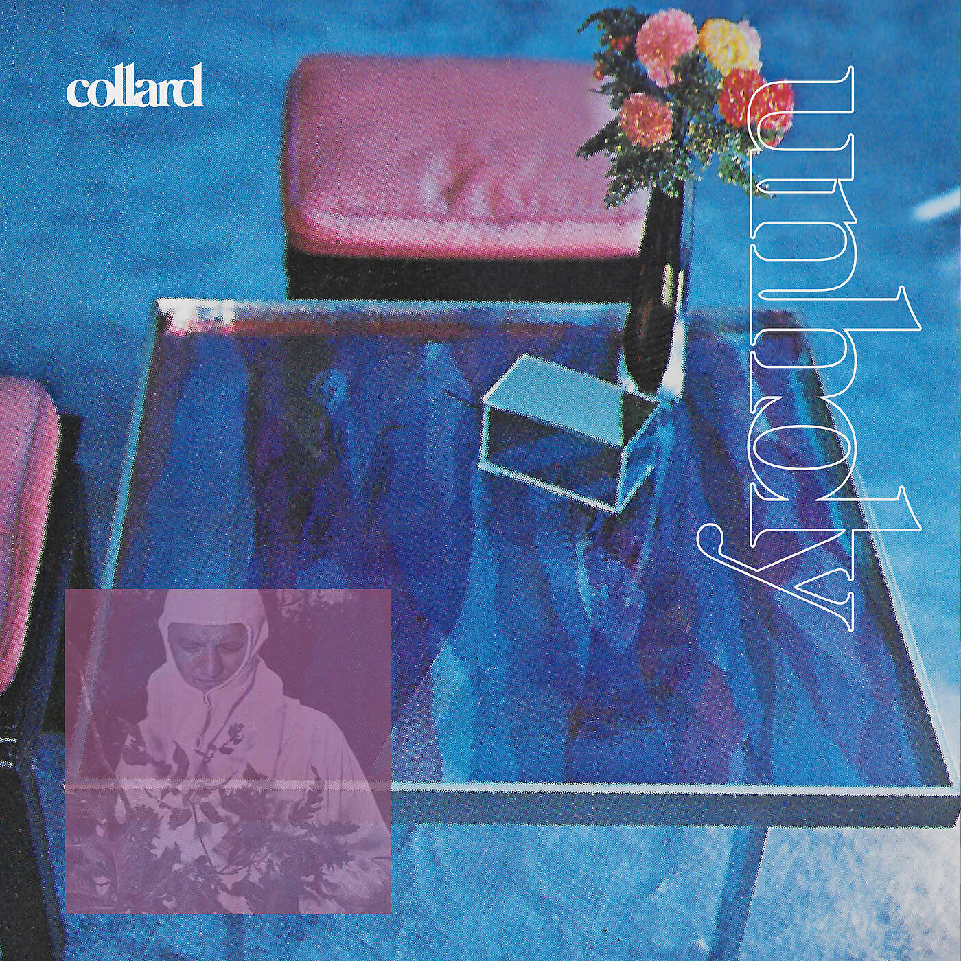 Collard - Ground Control