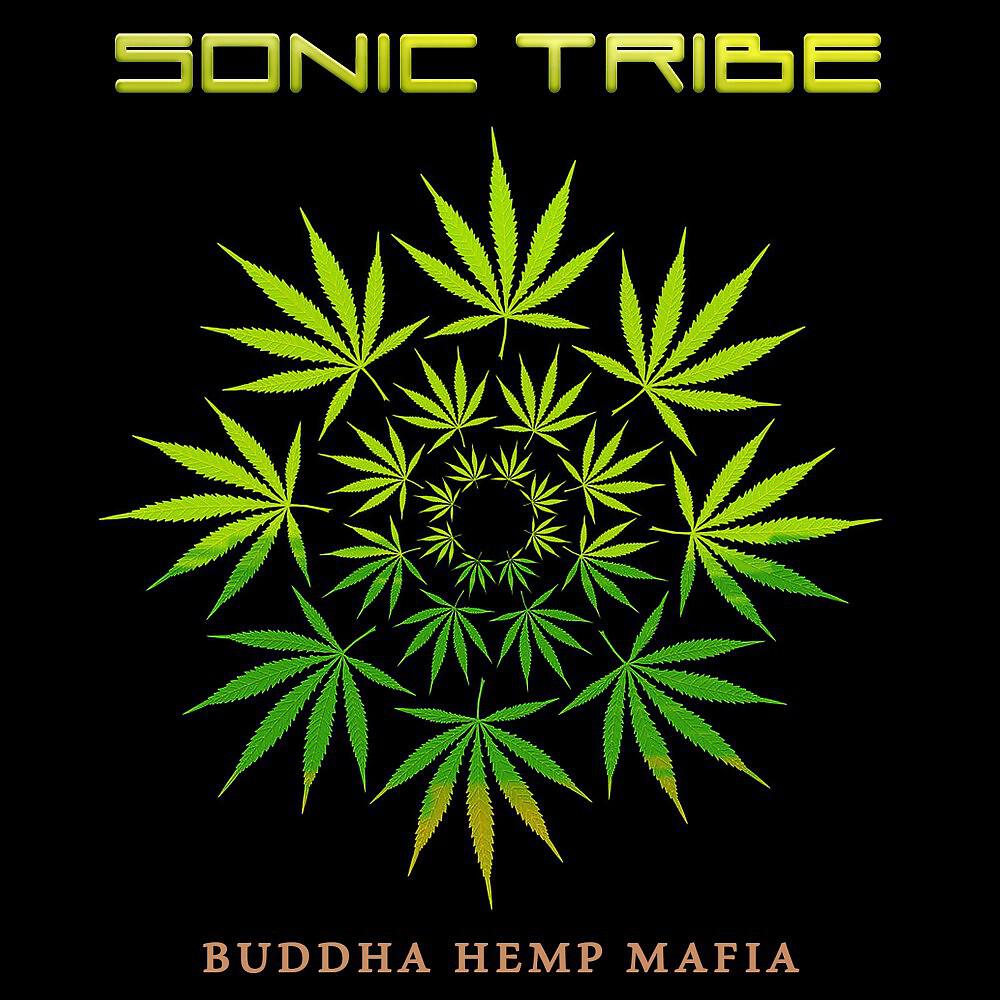 Sonic Tribe - Altruism (Original Mix)