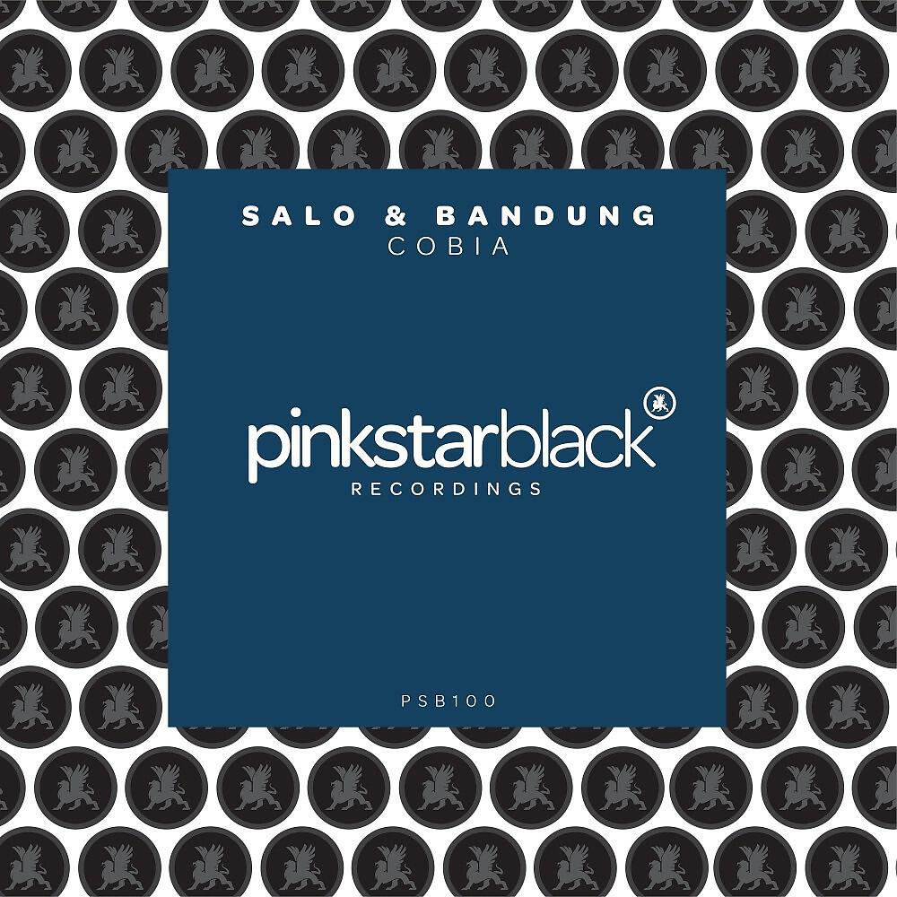 SALO - Cobia (Original Club Mix)