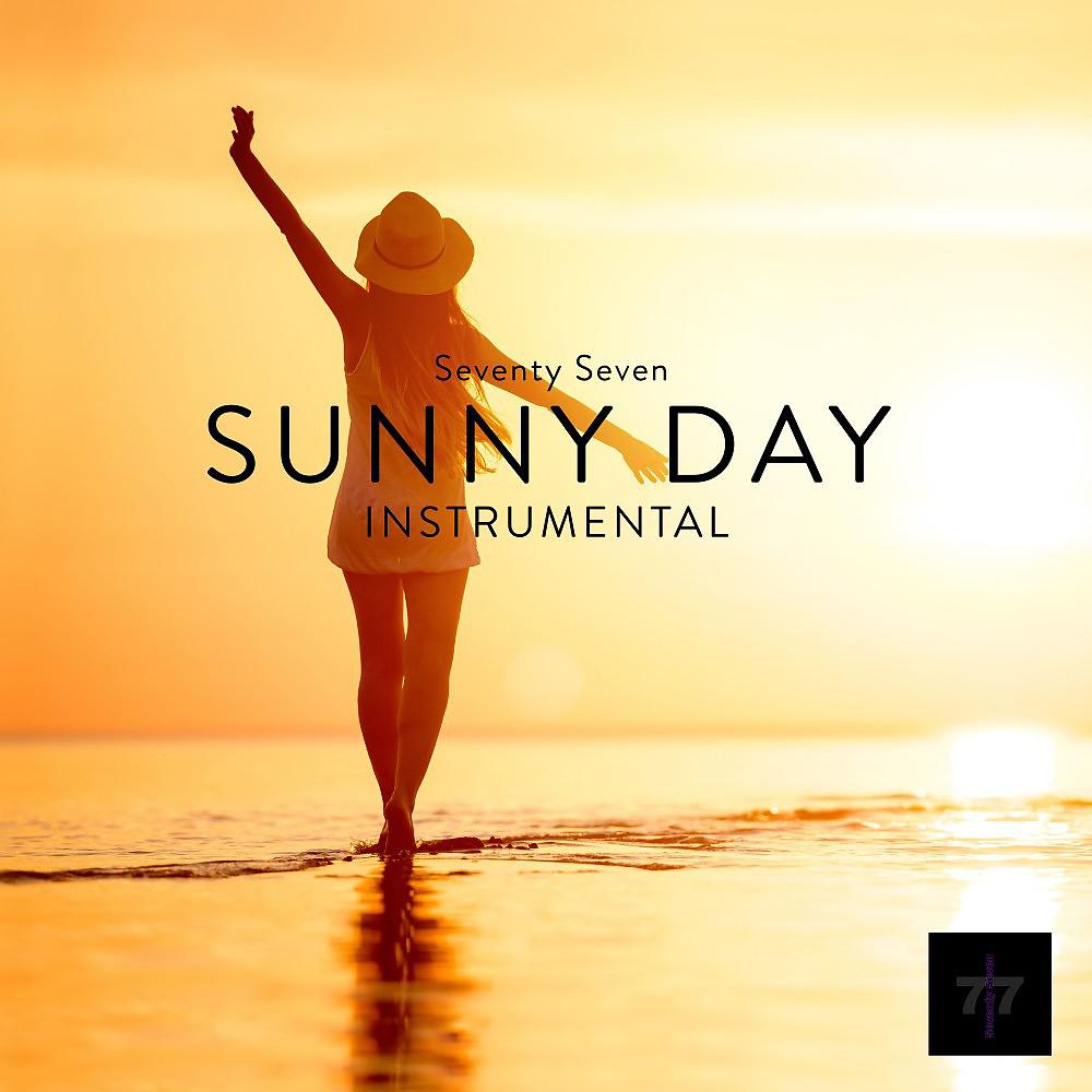 Постер альбома Sunny Day (Instrumental)
