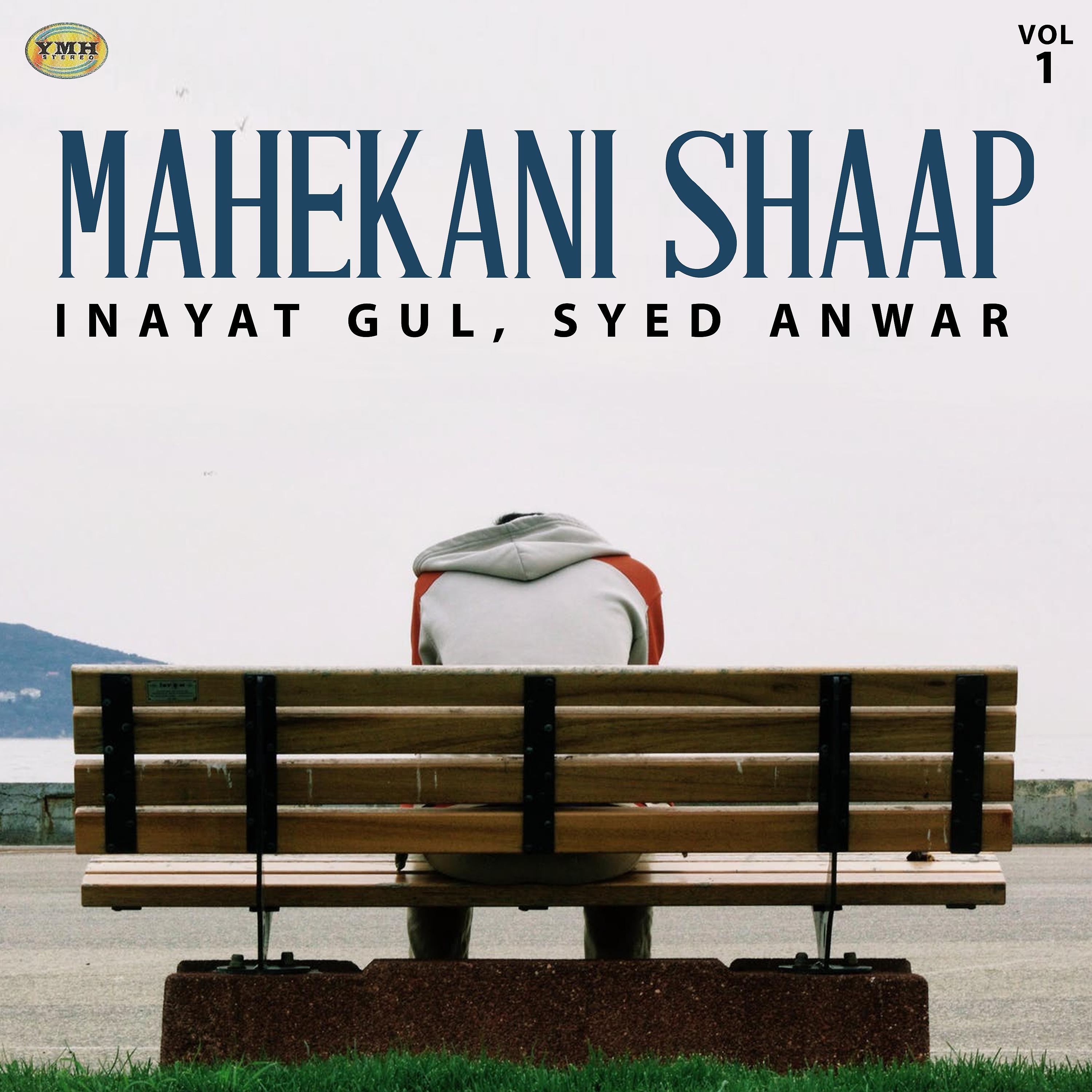 Постер альбома Mahekani Shaap, Vol. 1