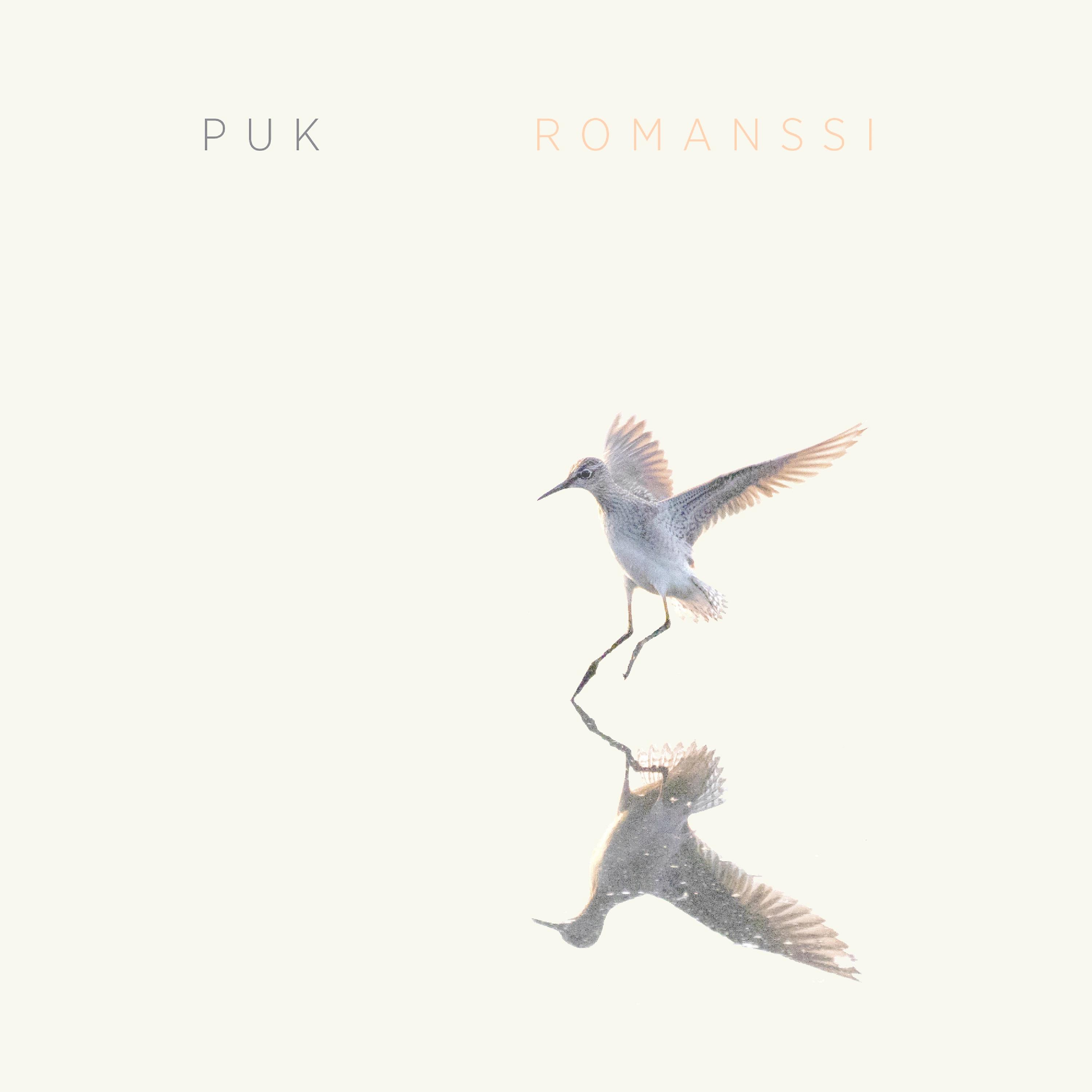 Постер альбома Romanssi