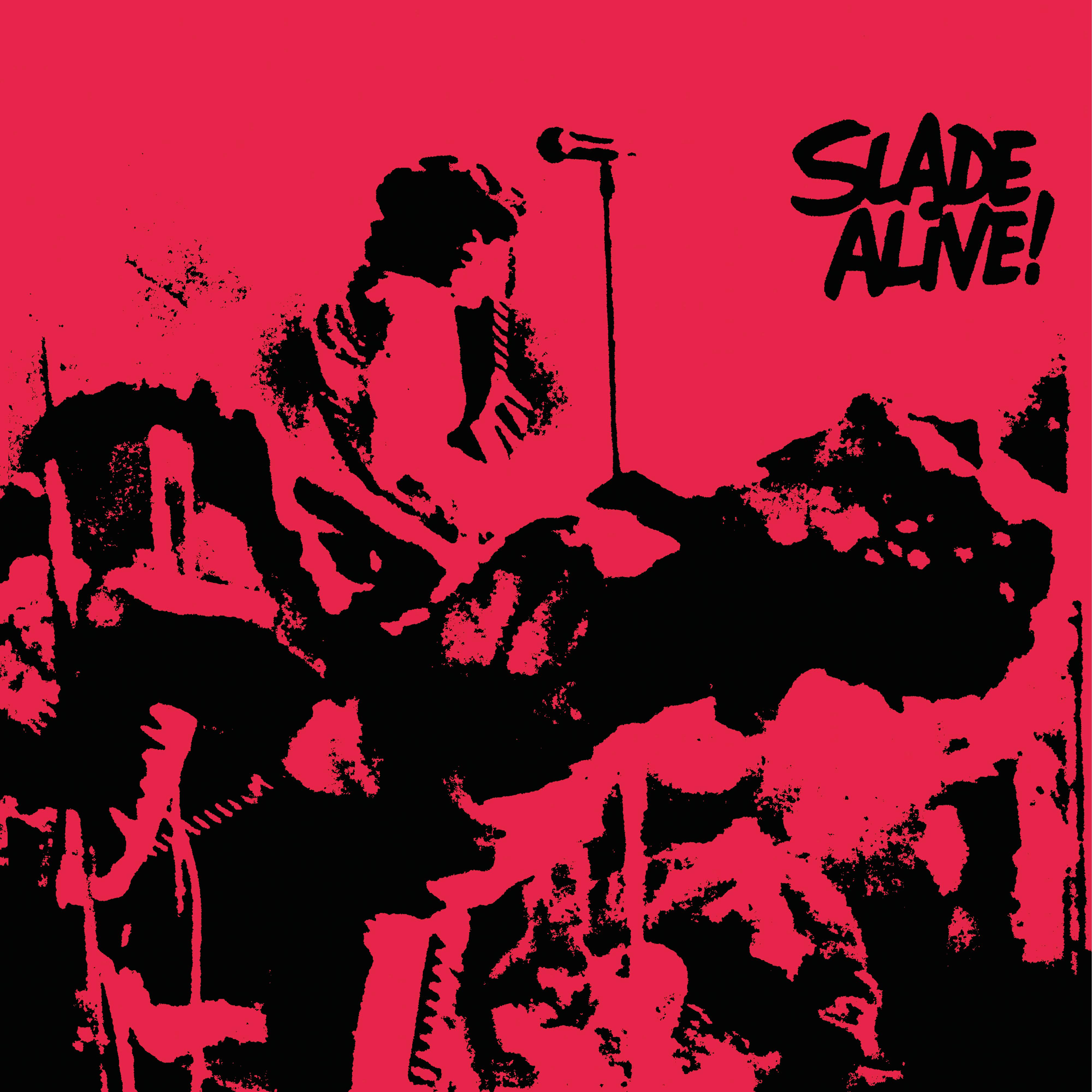 Постер альбома Slade Alive! (Live) [2009 - Remaster]