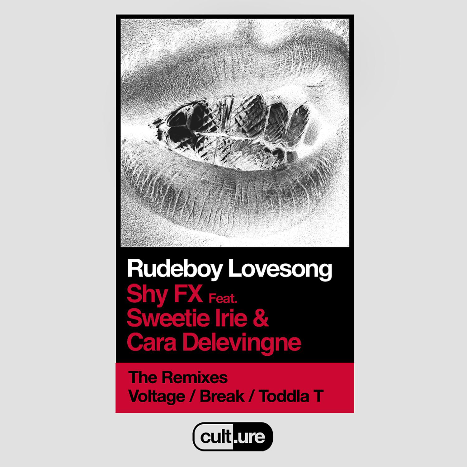 Постер альбома Rudeboy Lovesong (feat. Sweetie Irie and Cara Delevingne) [Remixes]
