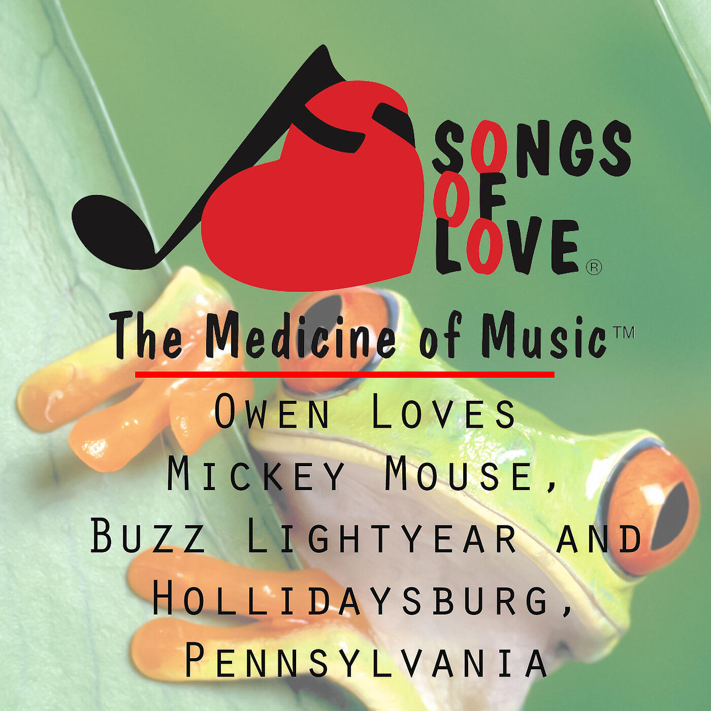 M. Lewis - Owen Loves Mickey Mouse, Buzz Lightyear and Hollidaysburg, Pennsylvania