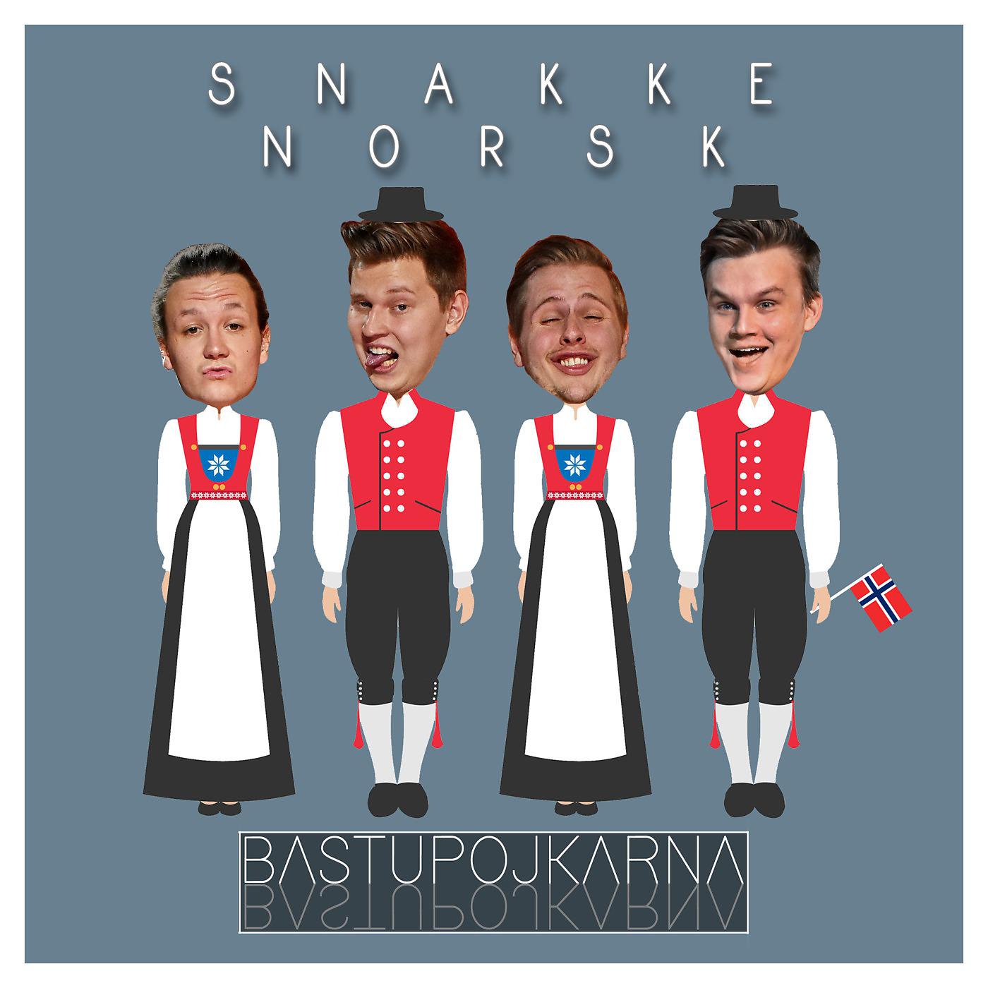 Постер альбома Snakke Norsk