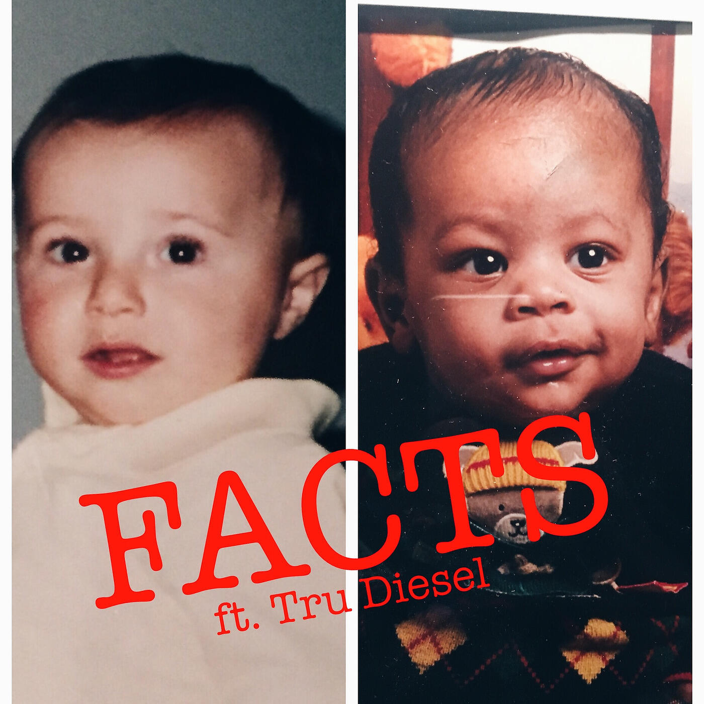 FERN - Facts