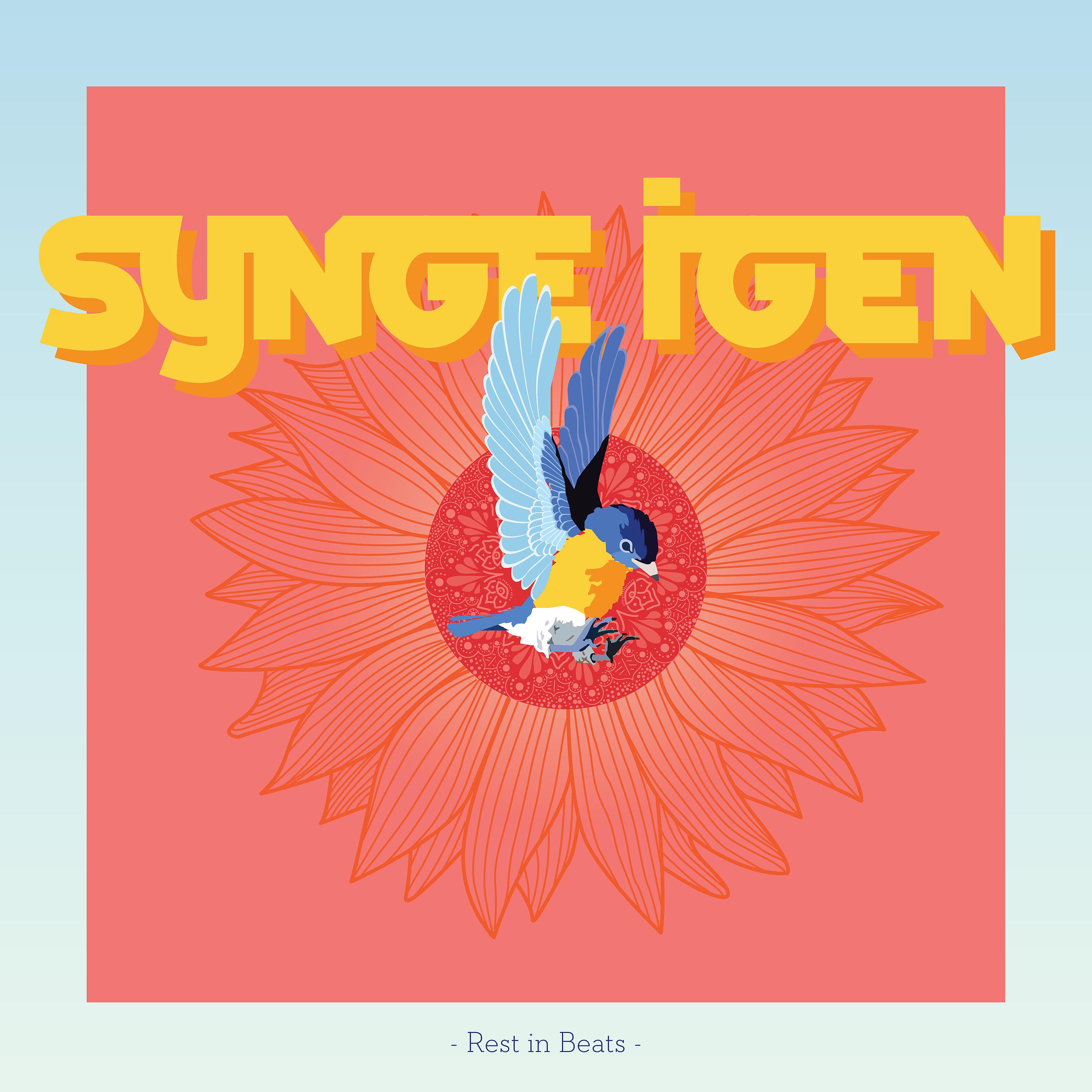 Постер альбома Synge Igen