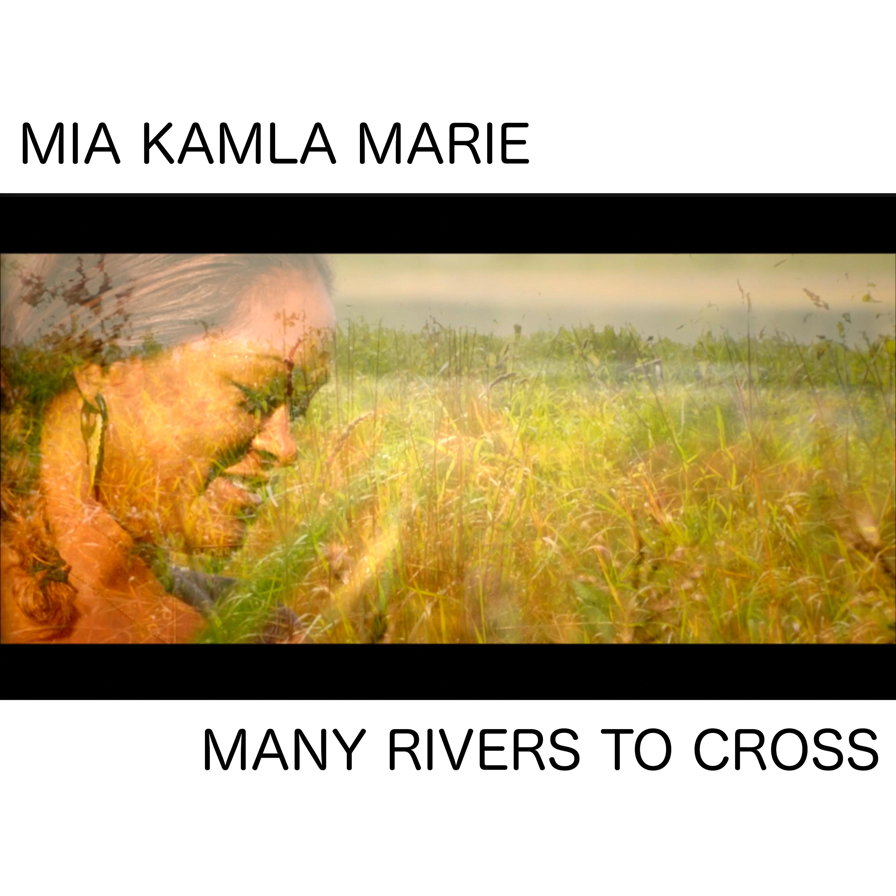 Постер альбома Many Rivers to Cross