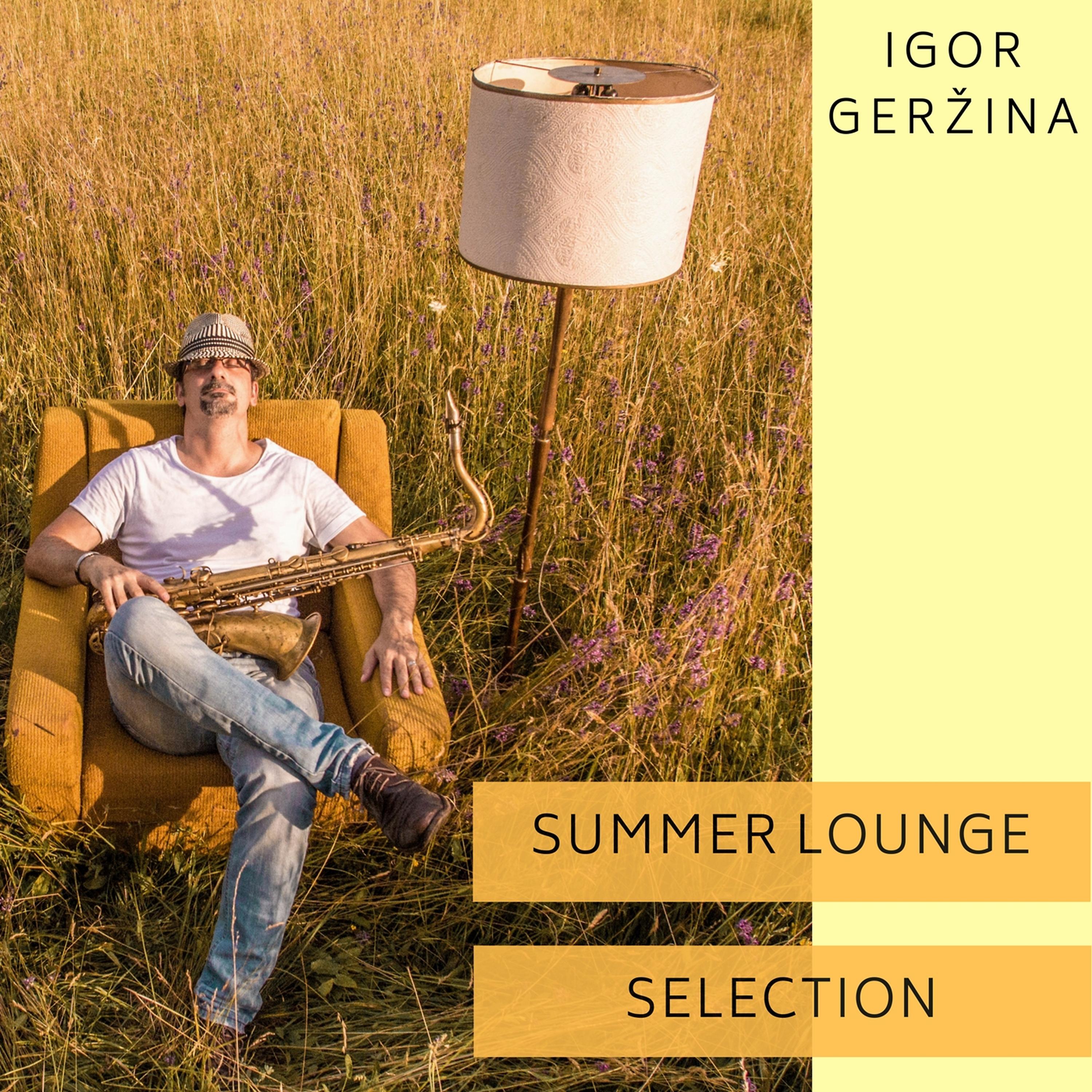Постер альбома Summer Lounge Selection