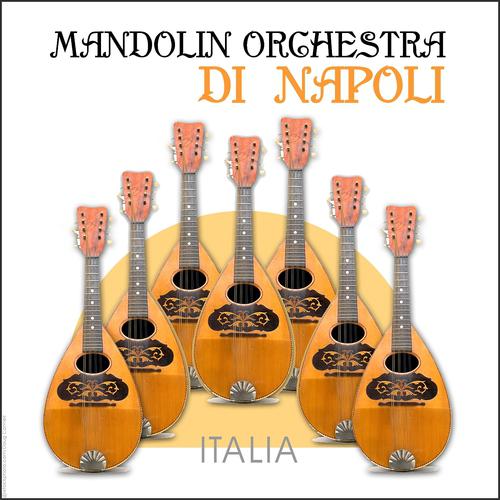 Постер альбома Mandolin Orchestra di Napoli