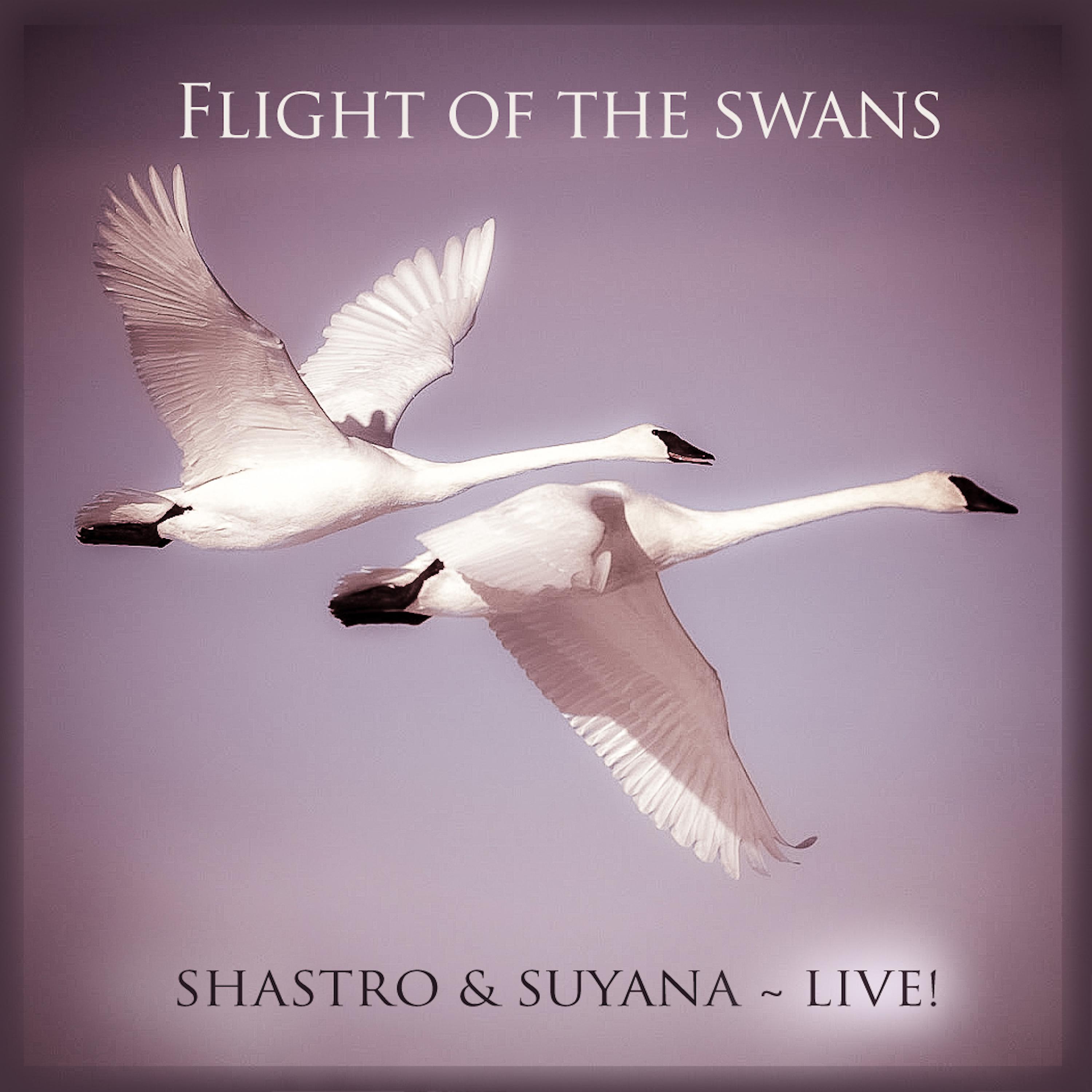 Постер альбома Flight of the Swans (Live)