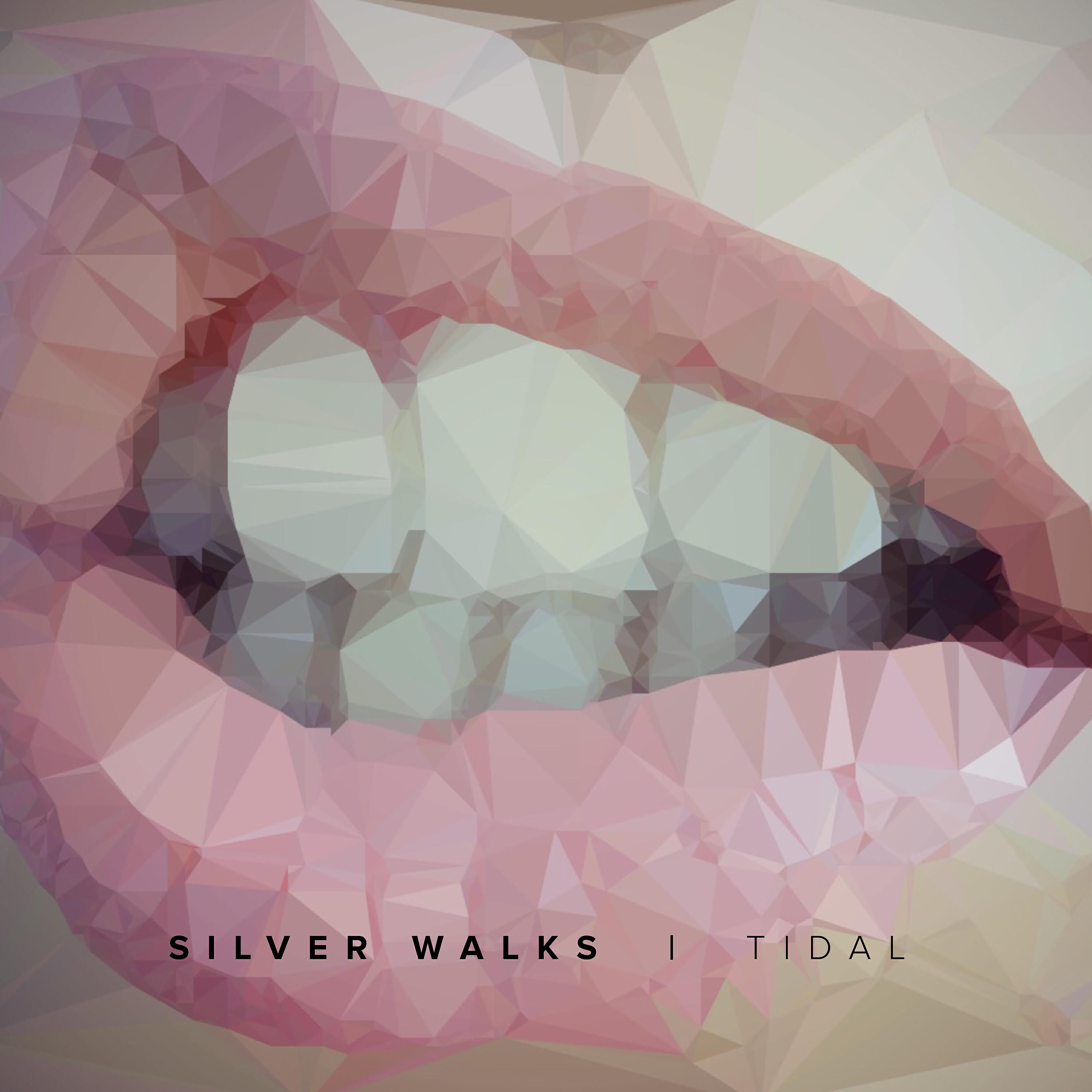 Silver Walks - Tidal (Styeaer Submerged Version)