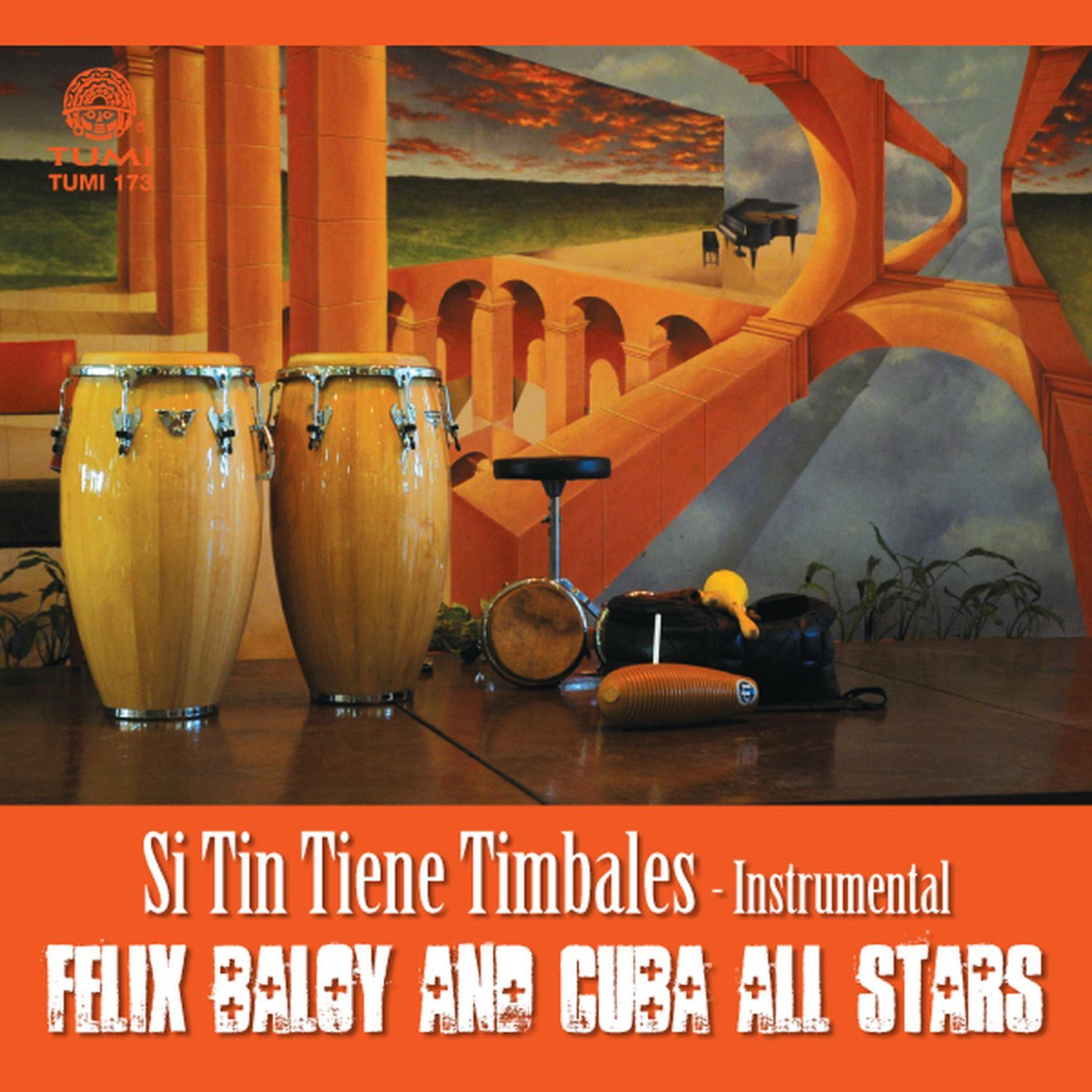 Постер альбома Si Tin Tiene Timbales - Instrumental