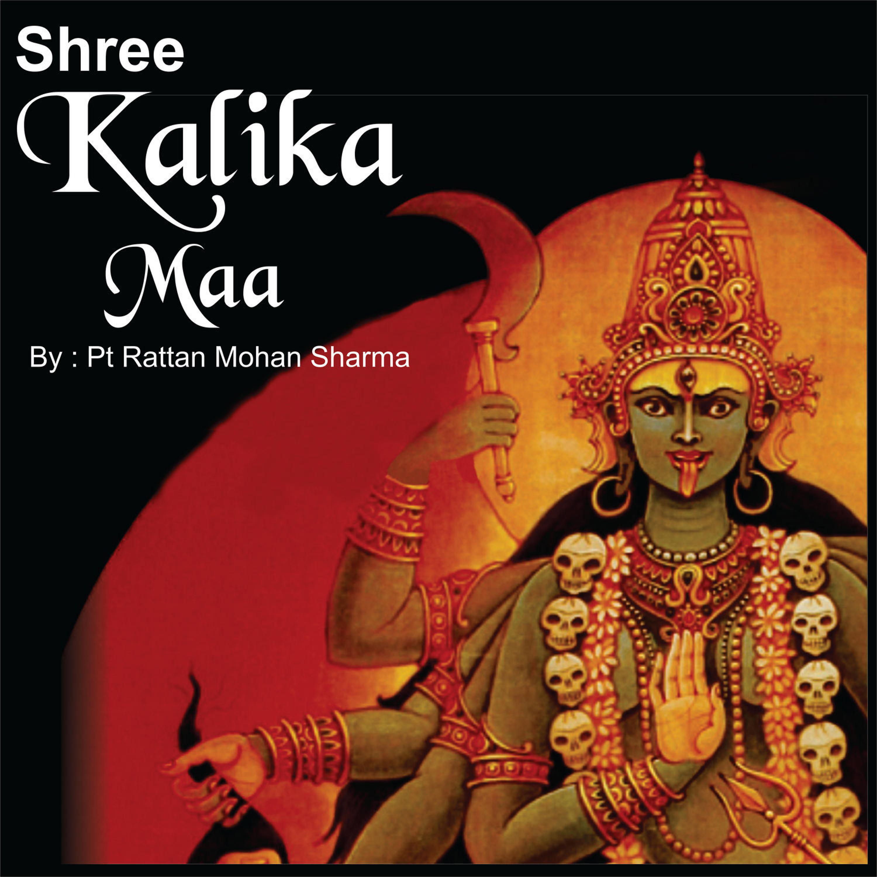 Постер альбома Shree Kalika Maa