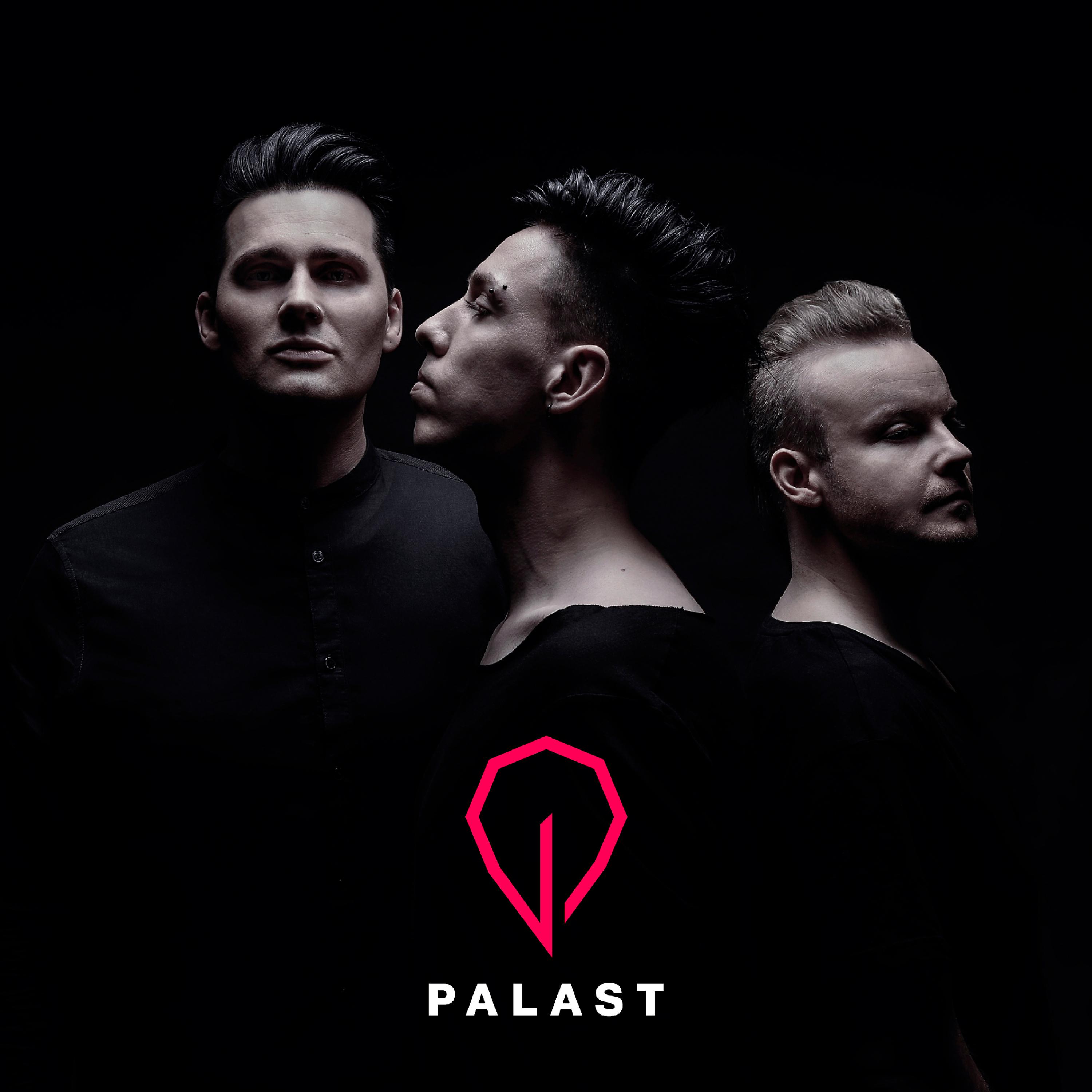 Постер альбома Palast