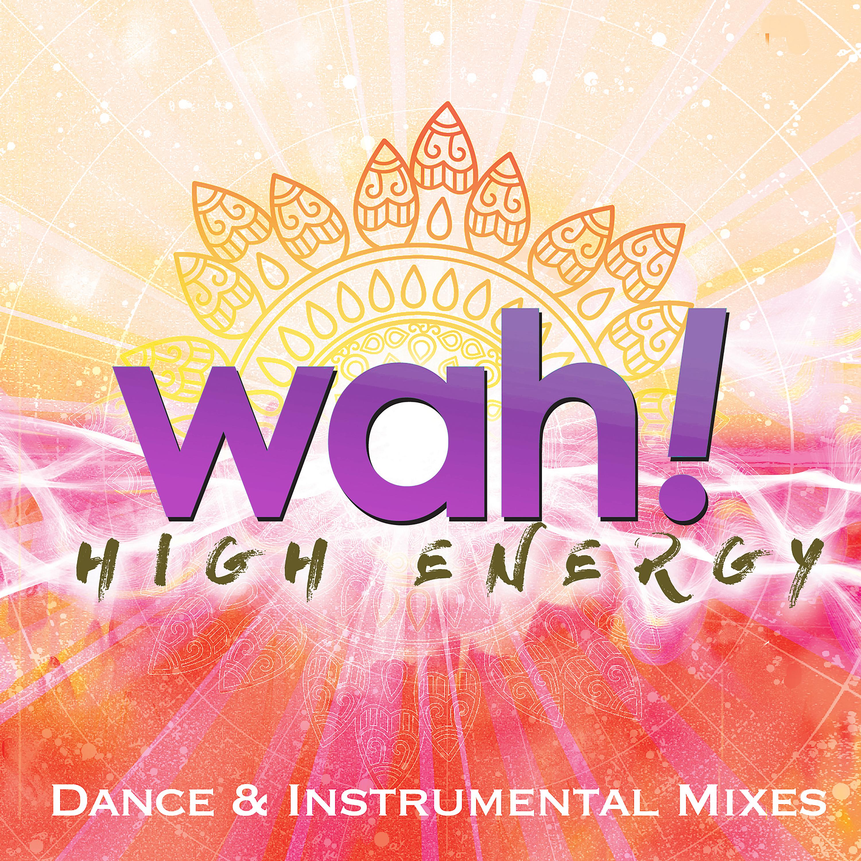 Постер альбома High Energy Dance & Instrumental Mixes Vol. 2