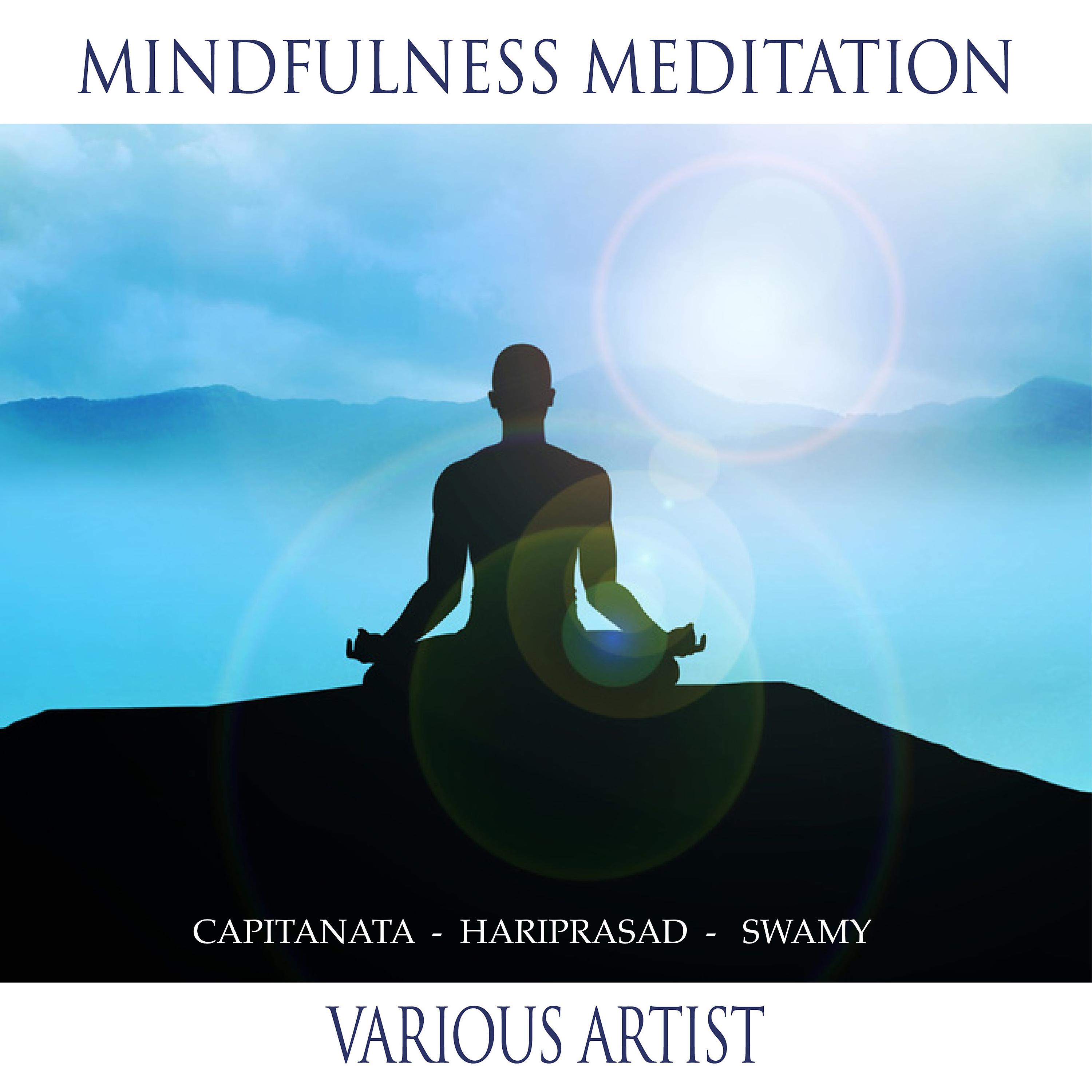 Постер альбома Mindfullness Meditation