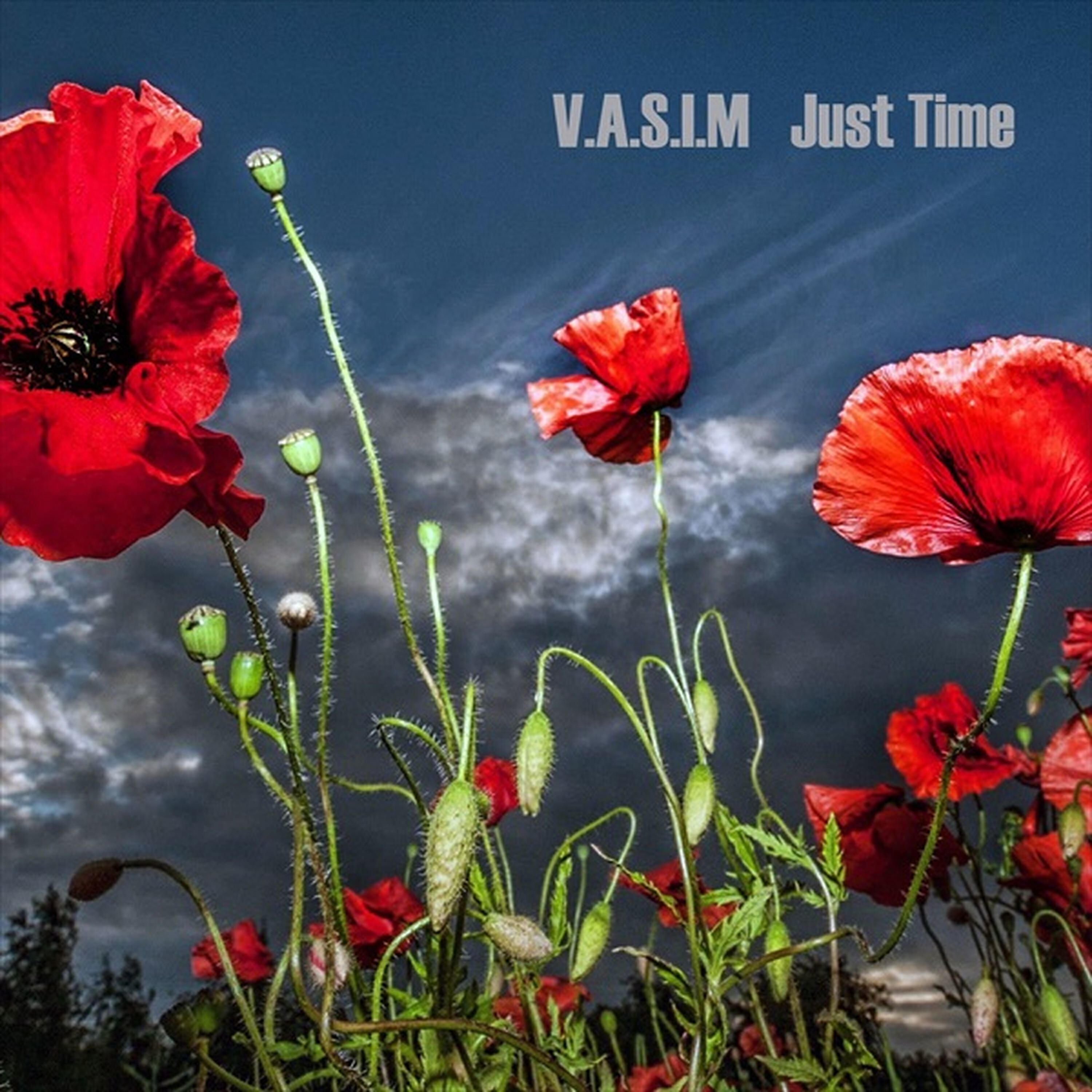 Vasim - Dimetiltriptamin