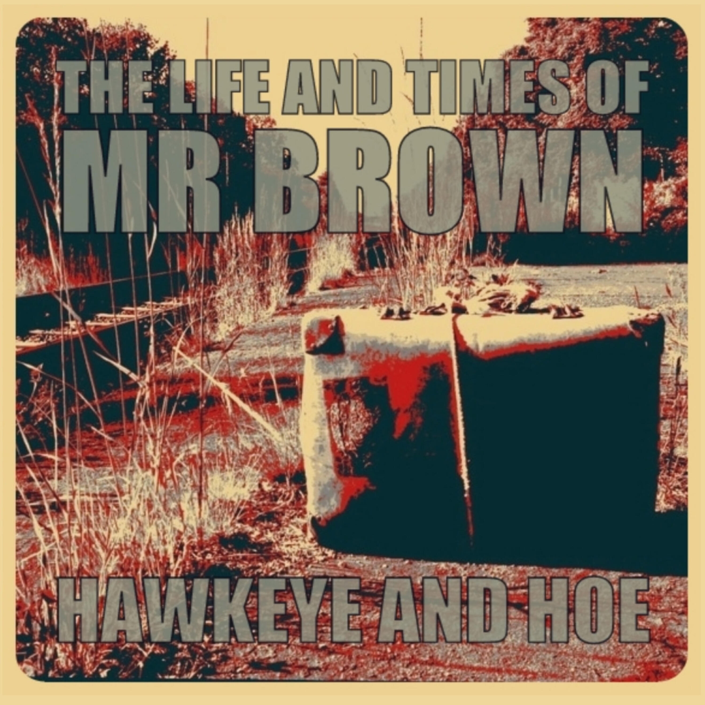 HAWKEYE - Mr Brown