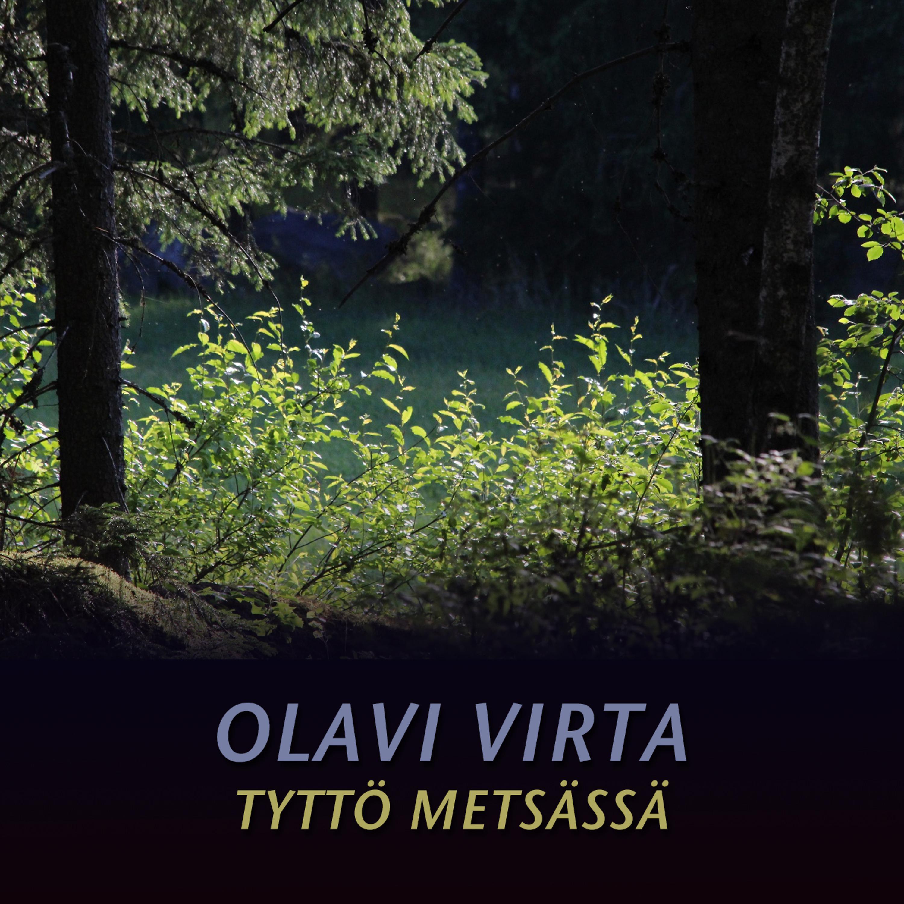 Постер альбома Tyttö Metsässä
