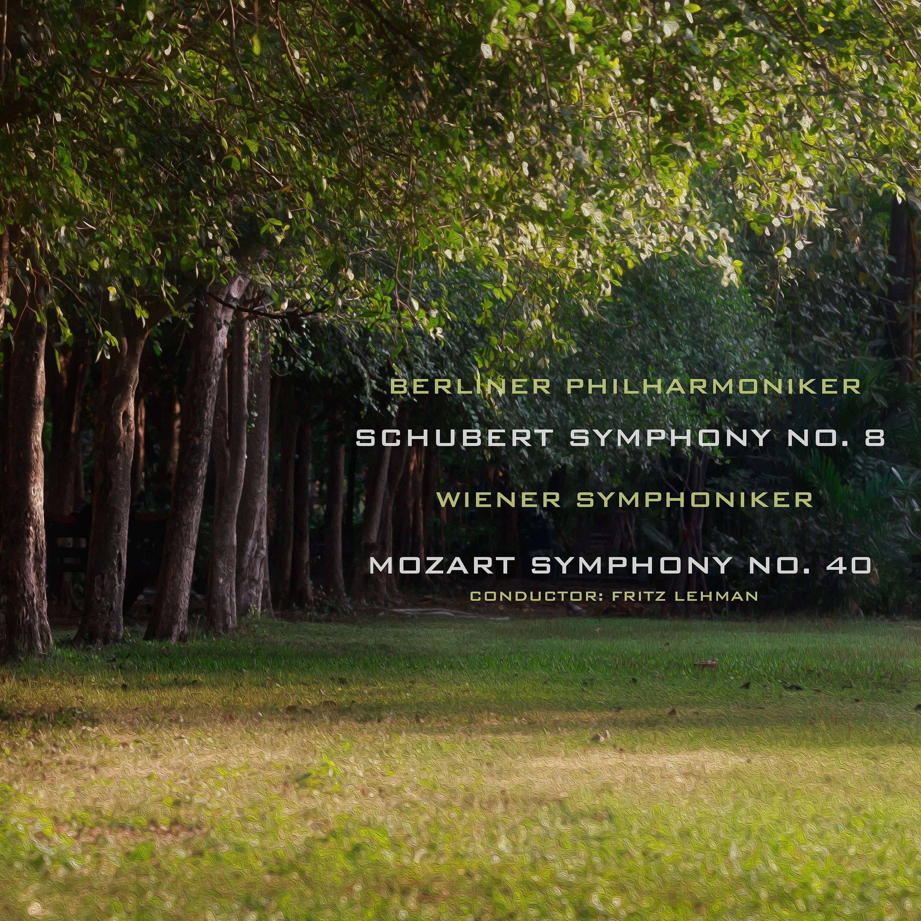 Постер альбома Schubert: Symphony No. 8 & Mozart: Symphony No. 40.
