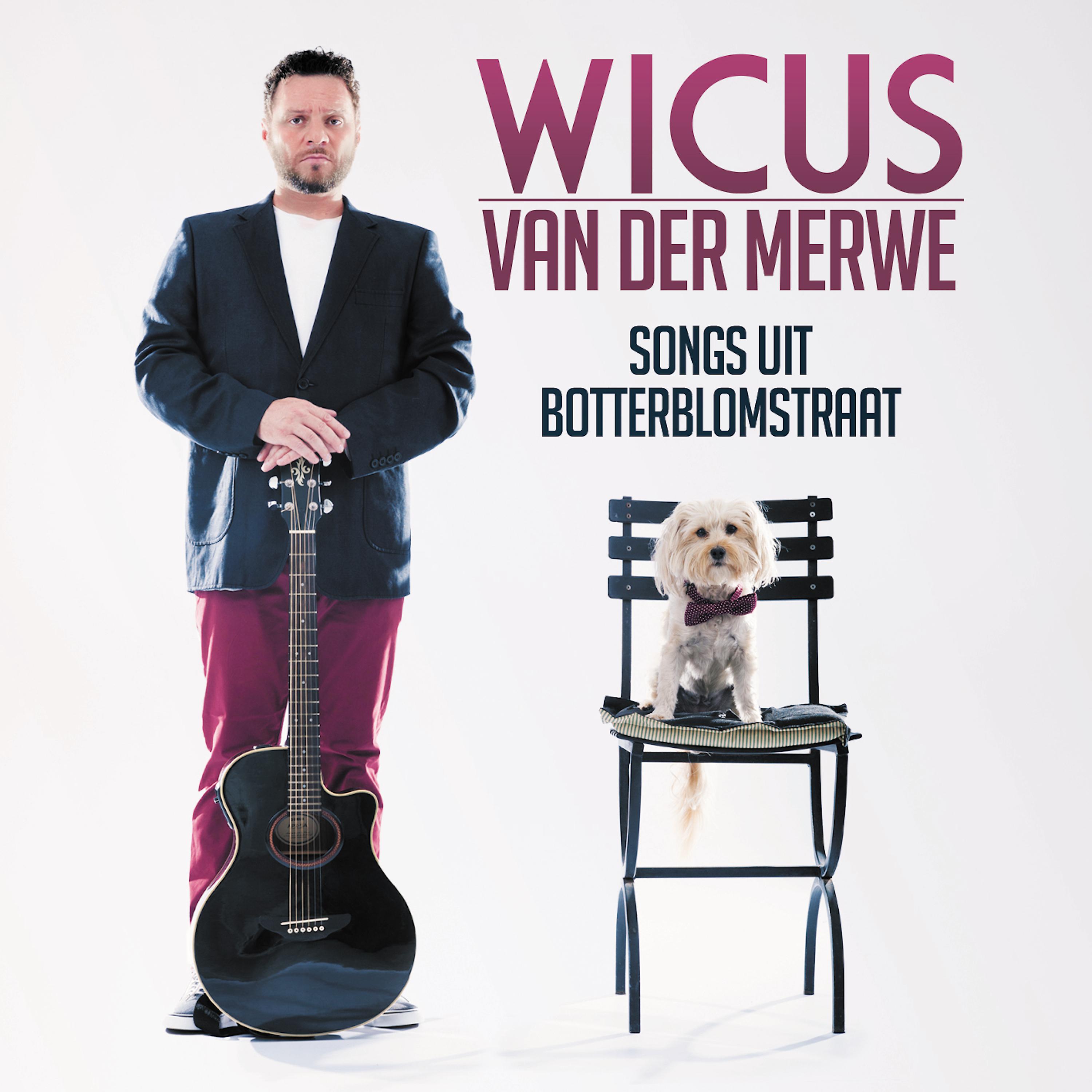 Постер альбома Songs Uit Botterblomstraat