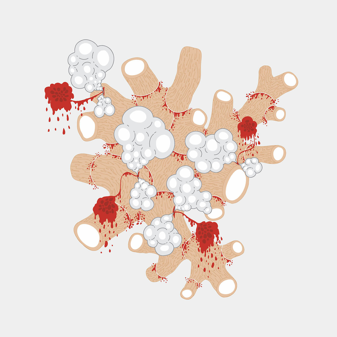 Saxon Shore - Marked with the Knowledge